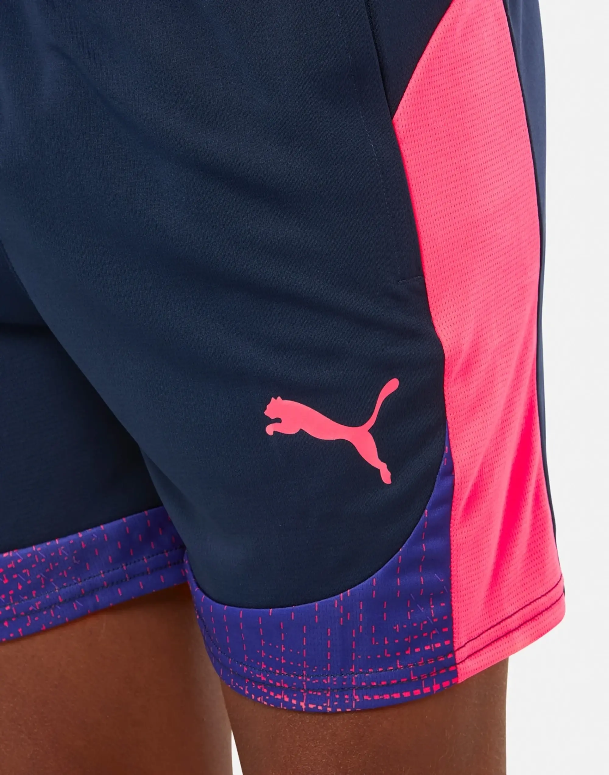 Puma Training Shorts Individualfinal - ['Blue']