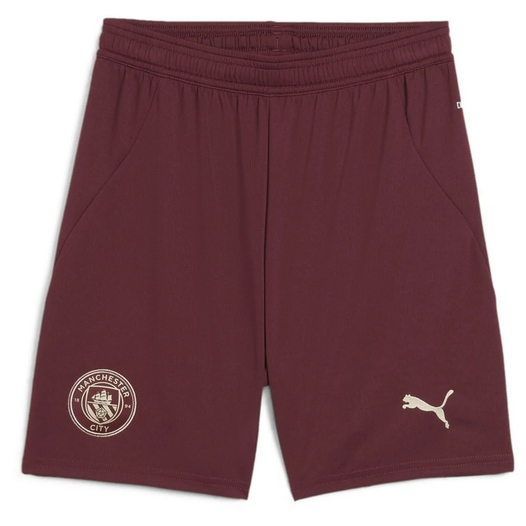 Puma football shorts best sale