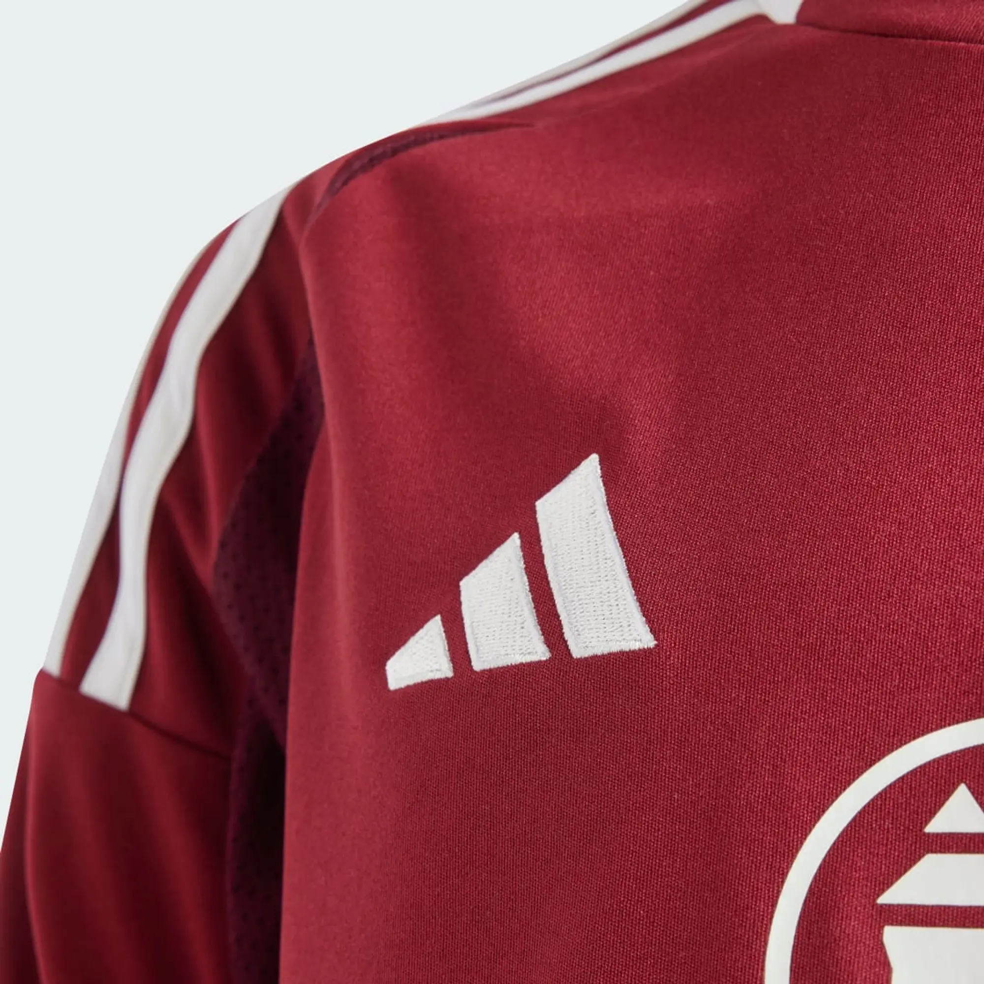 adidas 1. FC Nürnberg 24/25 Home Jersey Kids