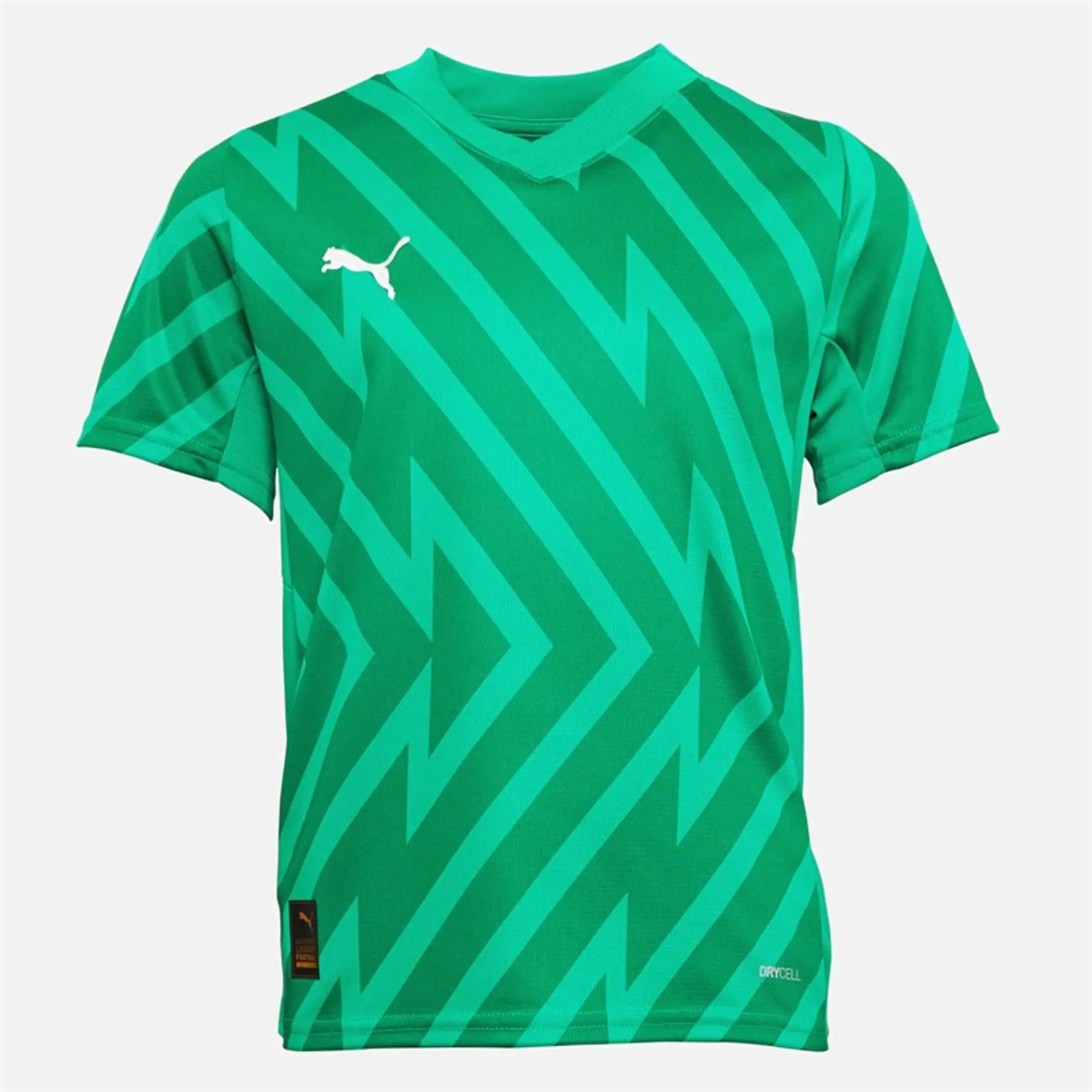 Puma Junior Team Graphic Short Sleeve Goalkeeper Jersey Grassy Green 767388 95 FOOTY.COM