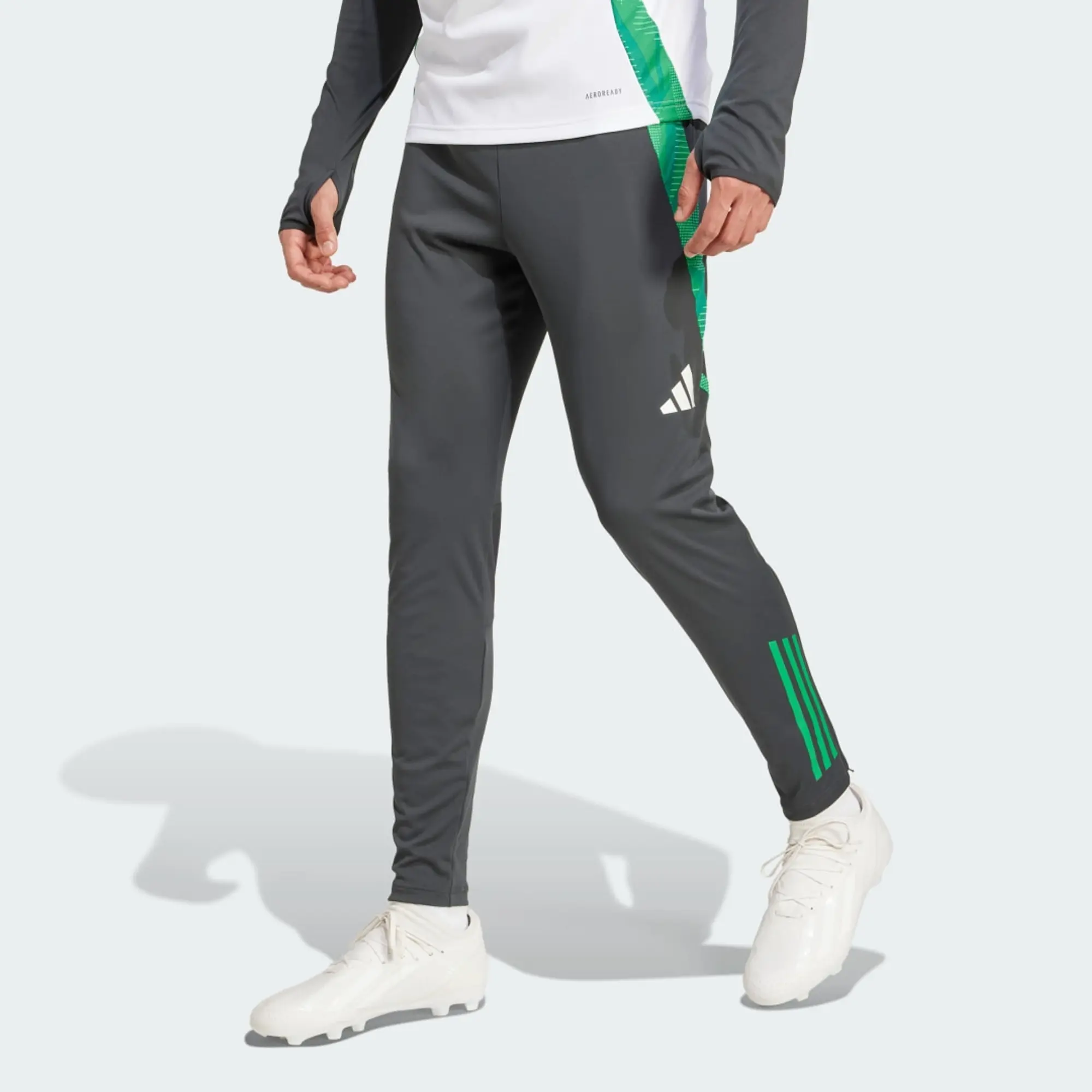 adidas Celtic FC Tiro 24 Training Pants