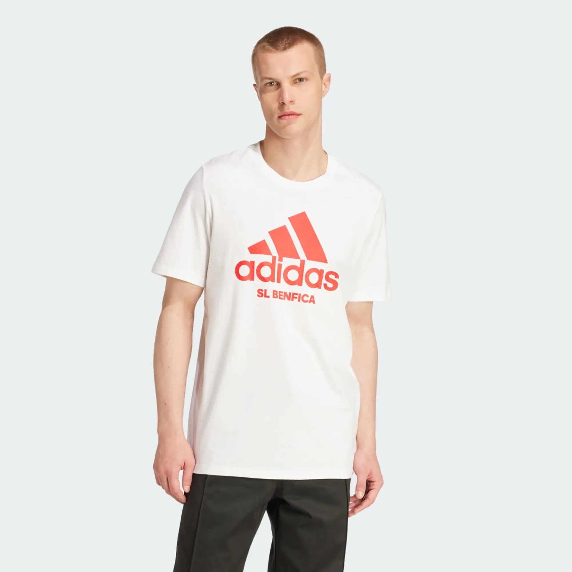 Adidas Benfica 24/25 Szn Graphic Short Sleeve T-shirt