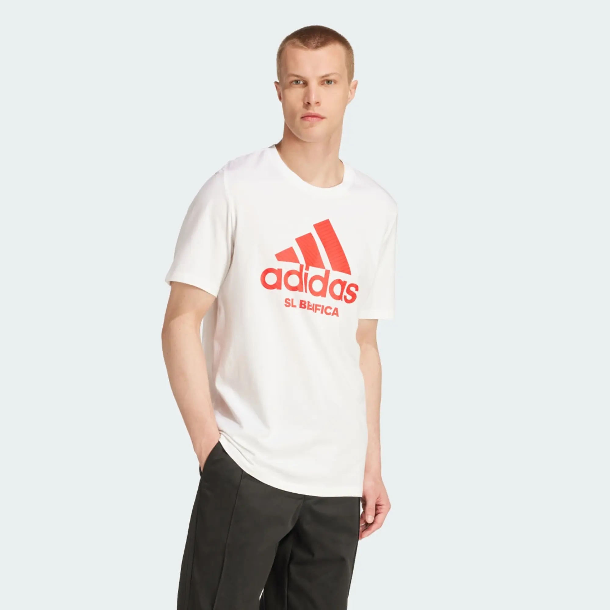 Adidas Benfica 24/25 Szn Graphic Short Sleeve T-shirt