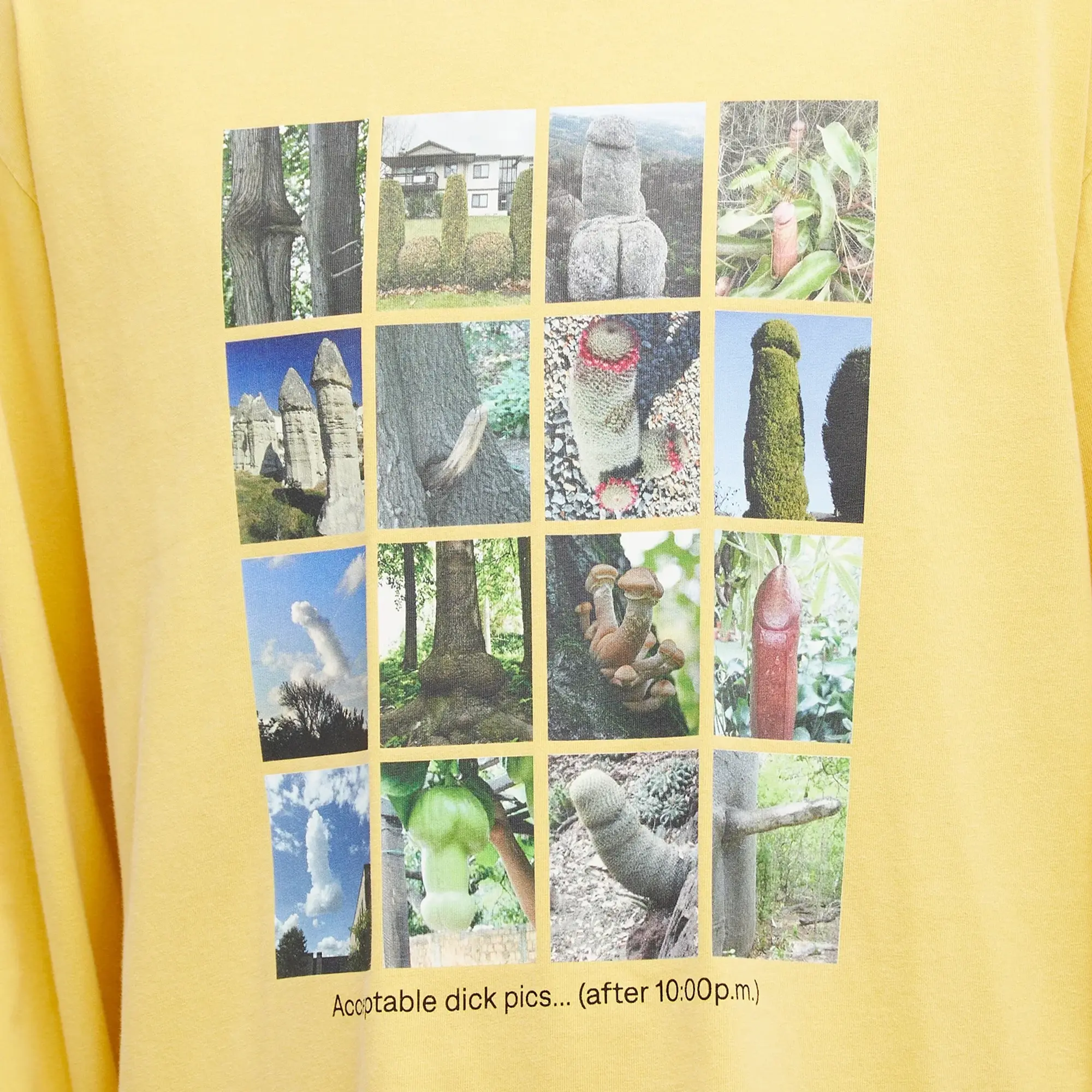 Crocs Carne Bollente Men's Acceptable Dick Picks Long Sleeve T-Shirt Yellow