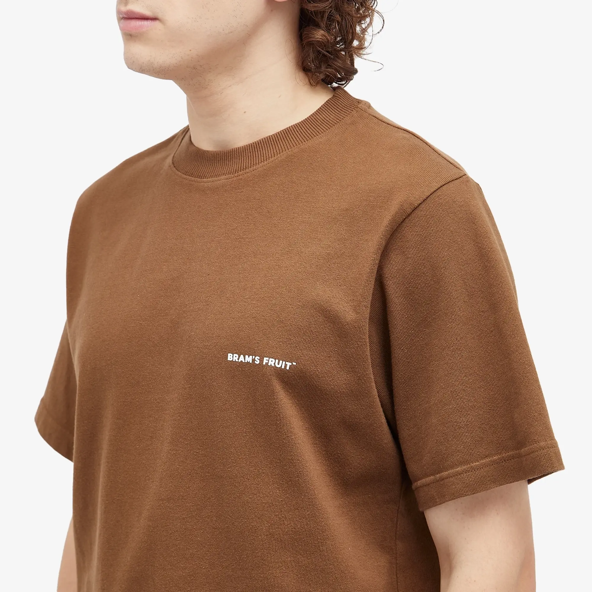 Bram's Fruit Men's Deck Chair T-Shirt Brown
