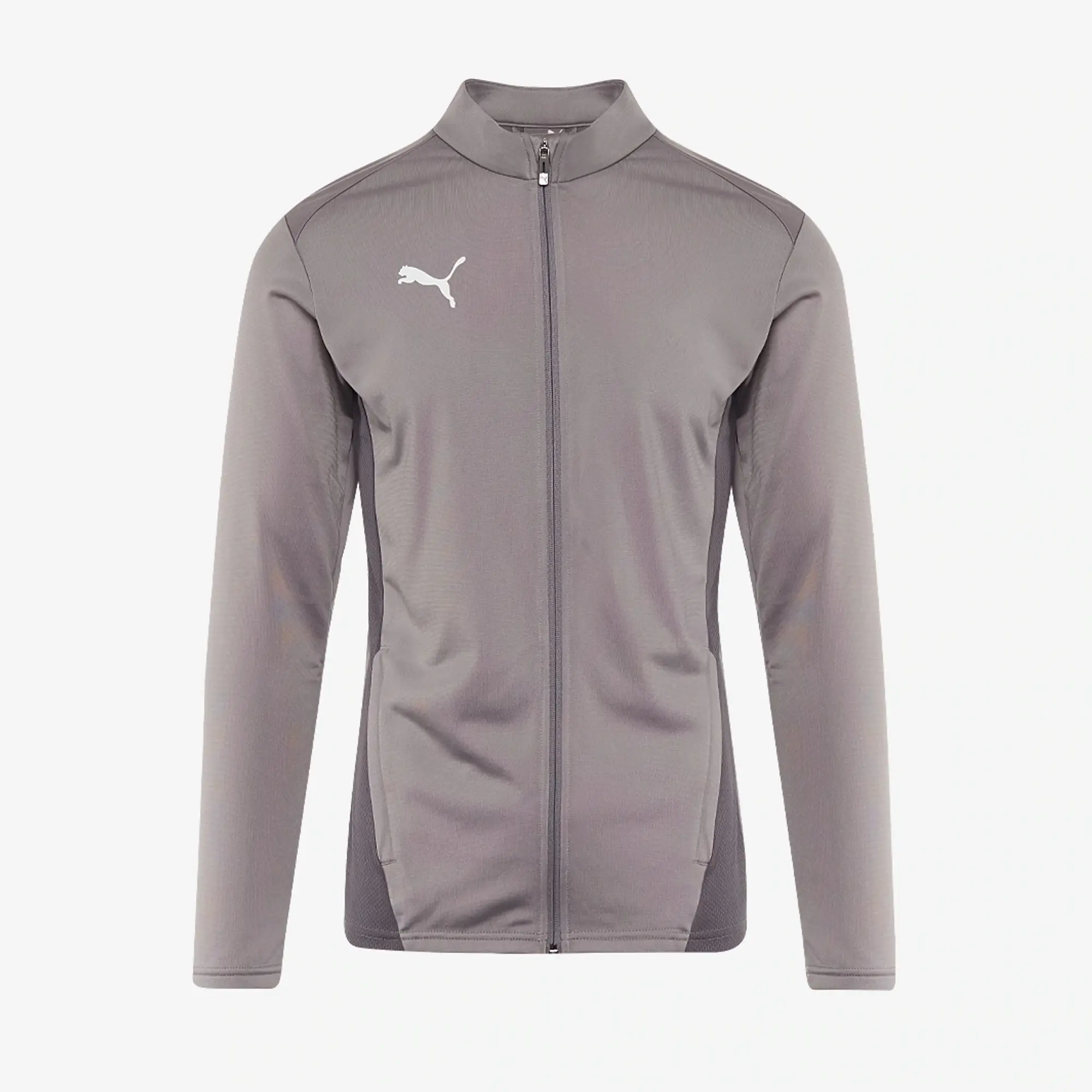 Puma Junior teamGOAL 24 Training Jacket