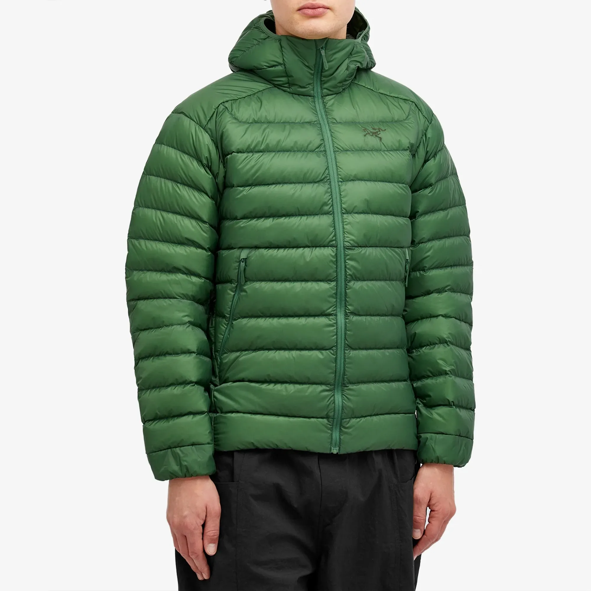 『4月4日削除予定 』arc'teryx cerium hoodie ARC'TERYX(アークテリクス) Cerium Hoody(セリウムフーディー)【Black