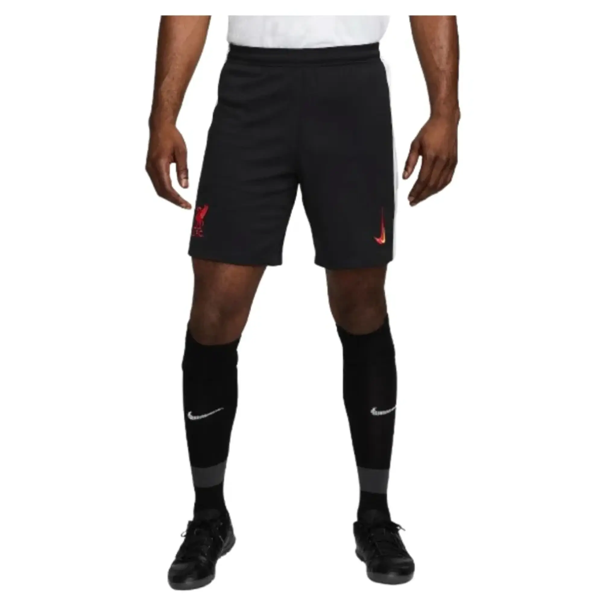 Liverpool adidas shorts online