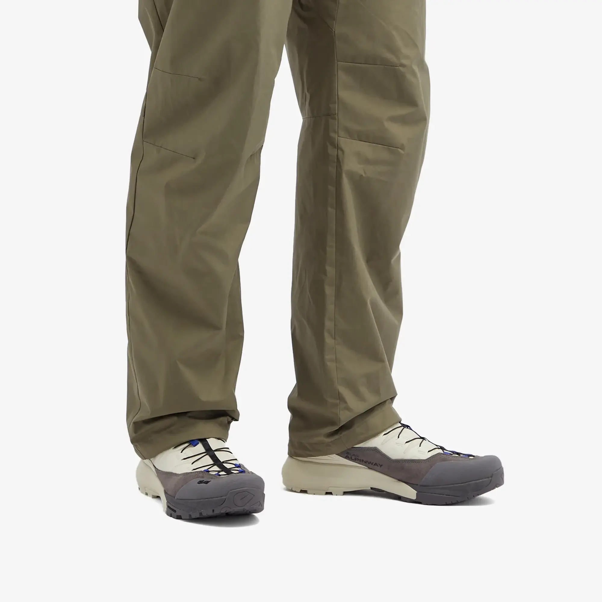 Salomon Men's Alpinway Advanced Almond Milk/Plum Kitten/Clematis Blue