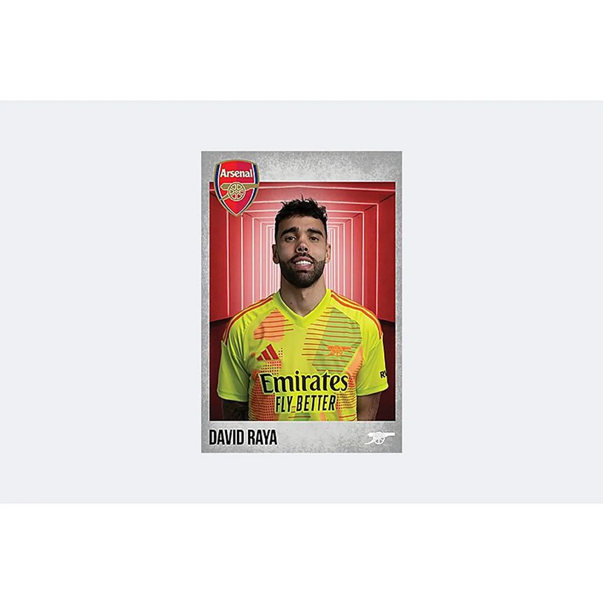 Arsenal 2024/25 Raya Headshot, Multicolor