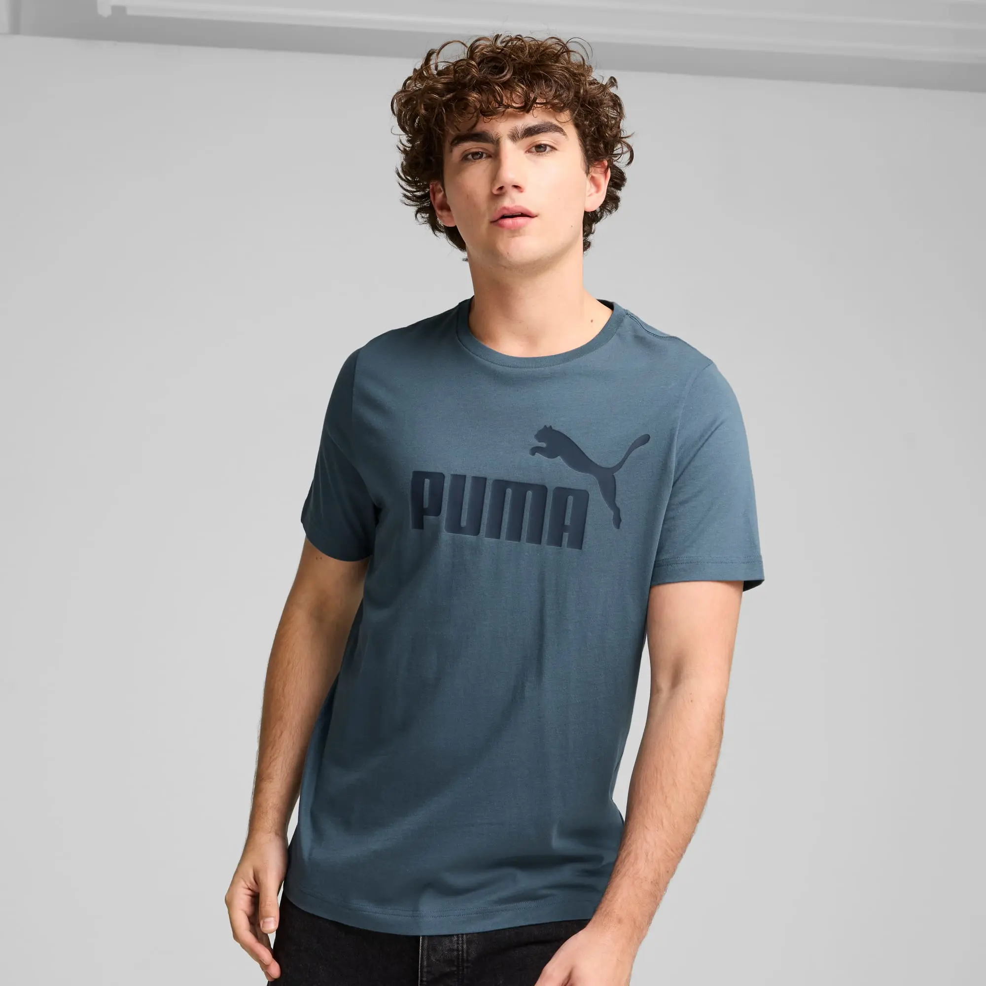 Puma Ess Logo Tee (S) T-Shirt Mens - Grey