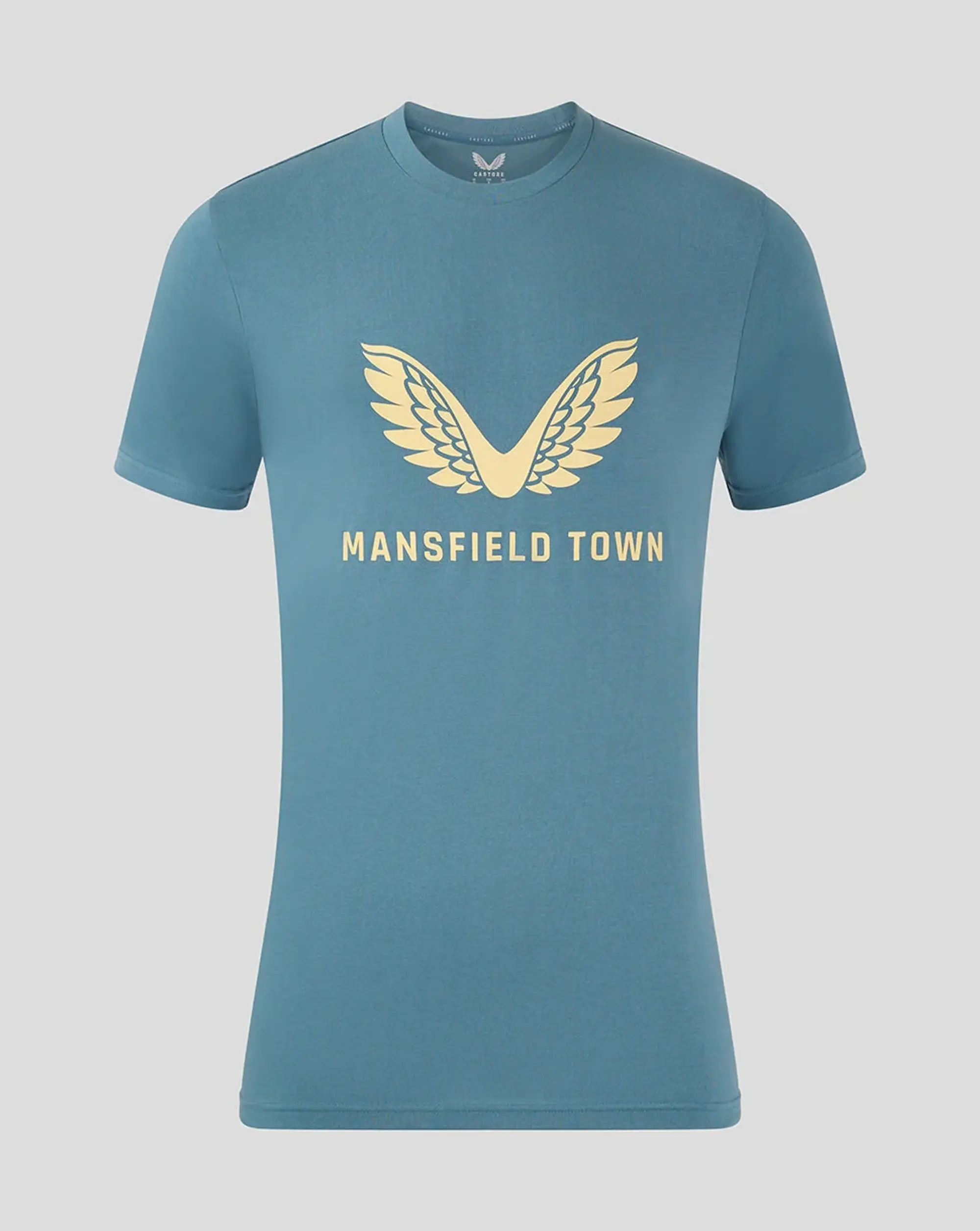 Castore Mansfield Men's 24/25 Training Logo Tee - Light Blue