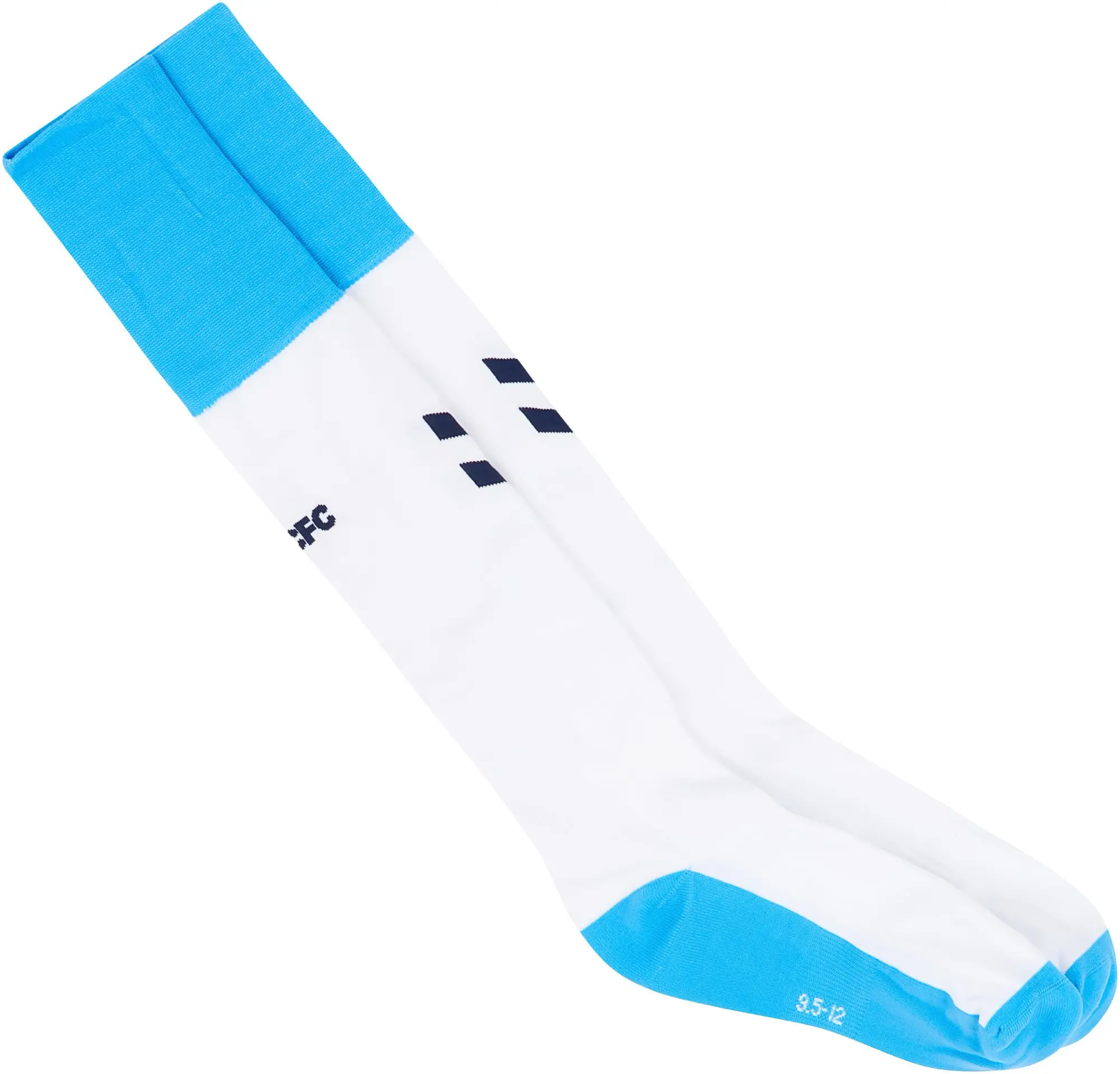 2021-22 Coventry Hummel Training Socks (L)