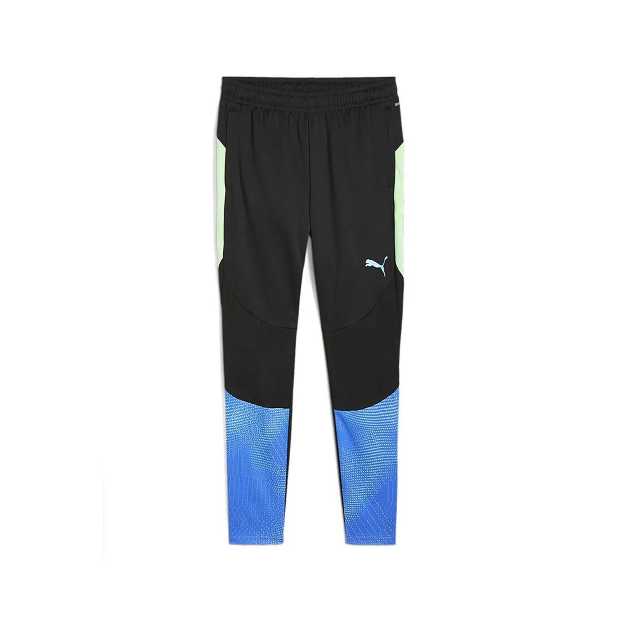 Puma Individual Final Training Pants