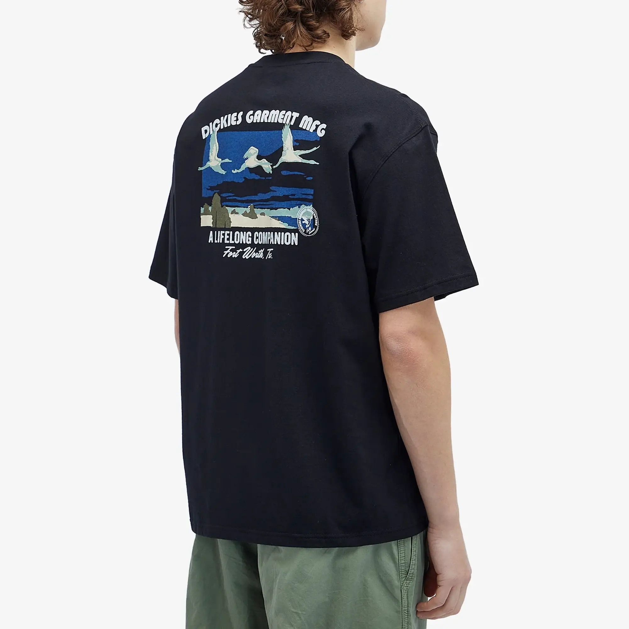 Dickies Companion Short Sleeve T-shirt