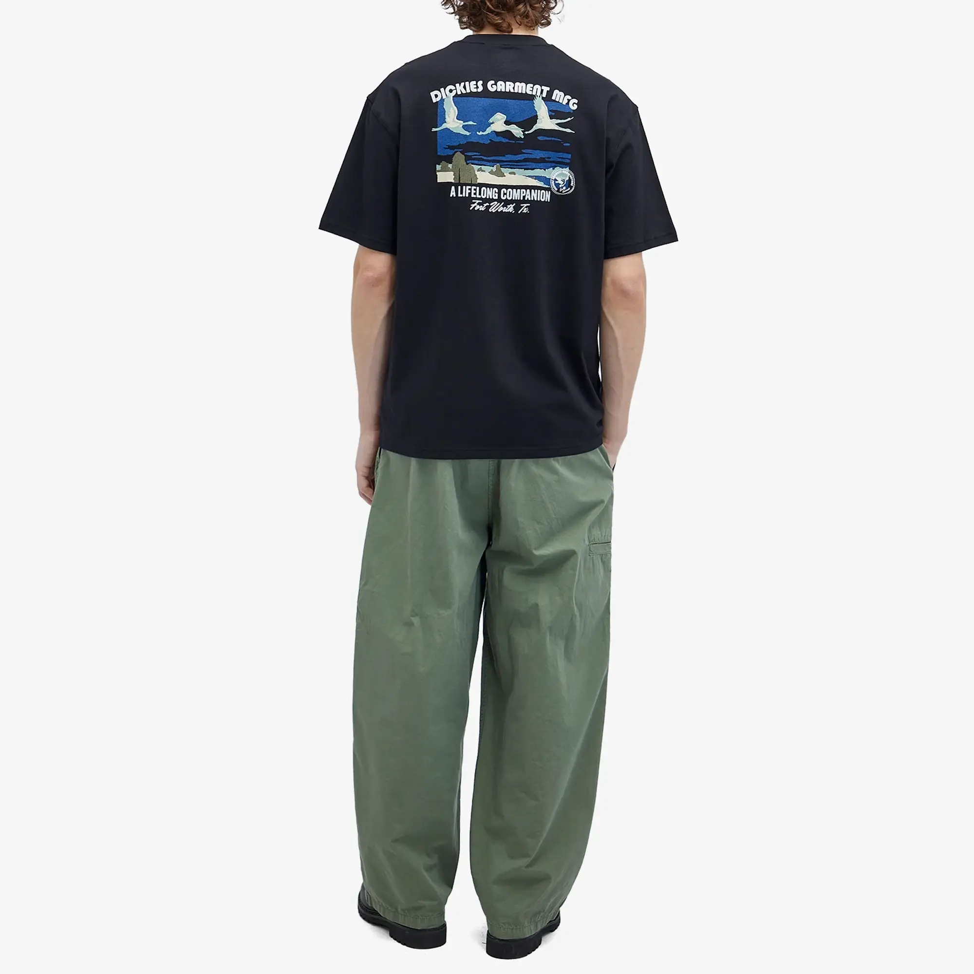 Dickies Companion Short Sleeve T-shirt