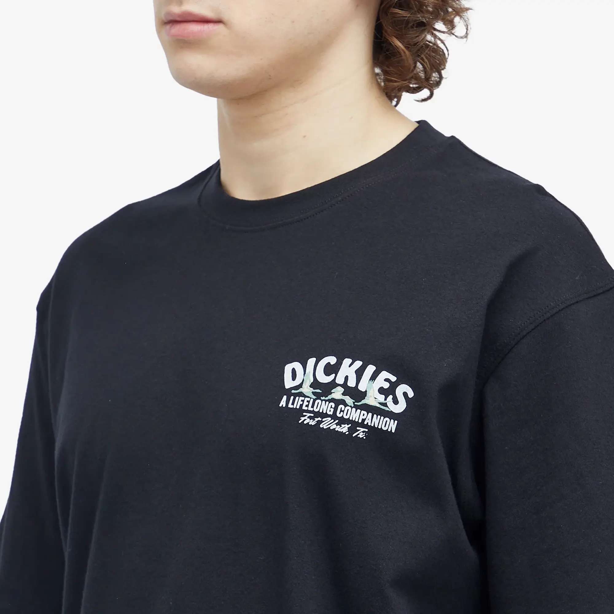 Dickies Companion Short Sleeve T-shirt