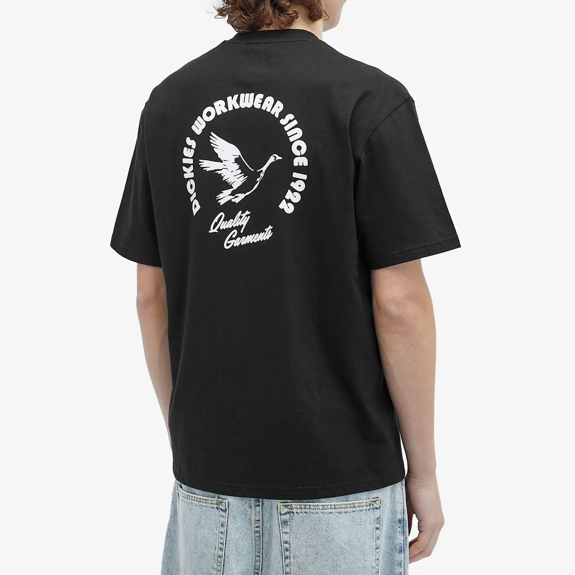 Dickies Goose Short Sleeve T-shirt