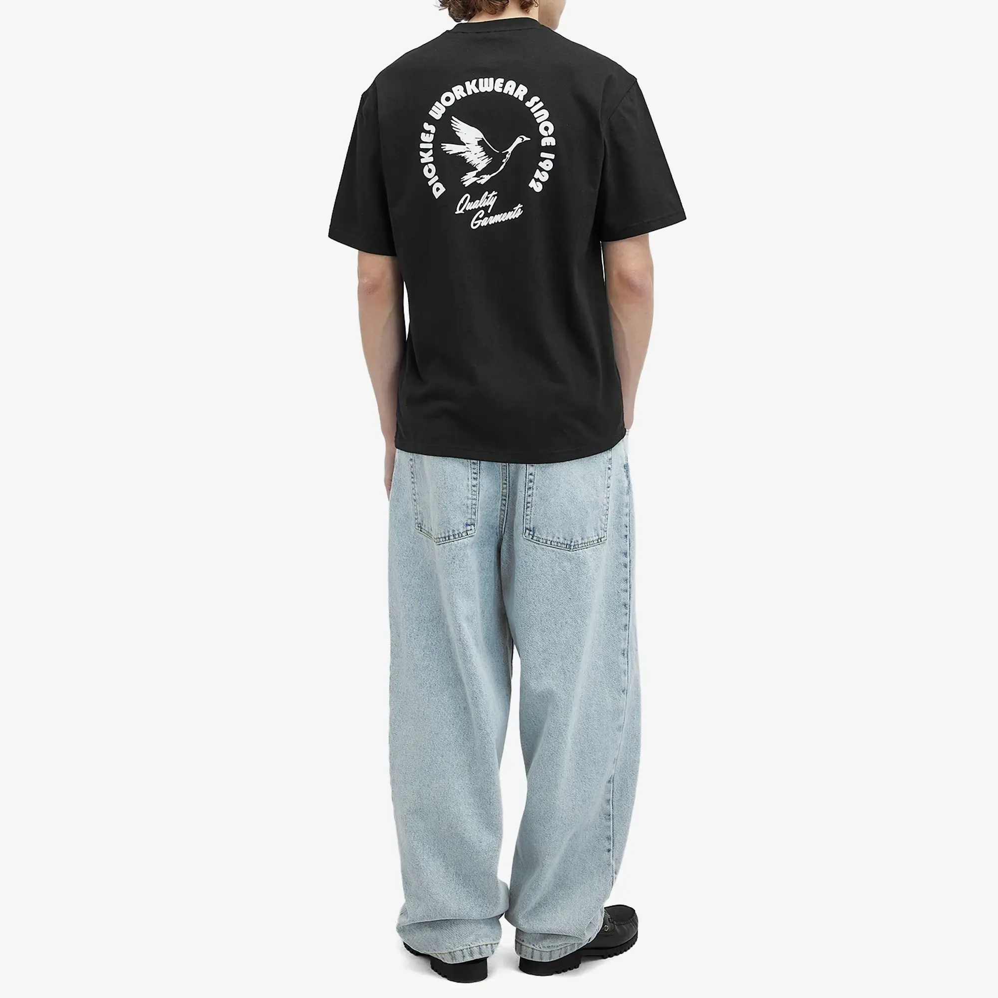 Dickies Goose Short Sleeve T-shirt