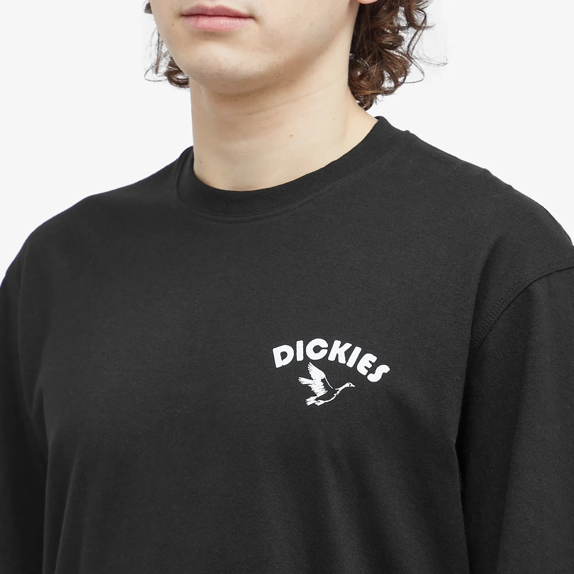 Dickies Goose Short Sleeve T-shirt