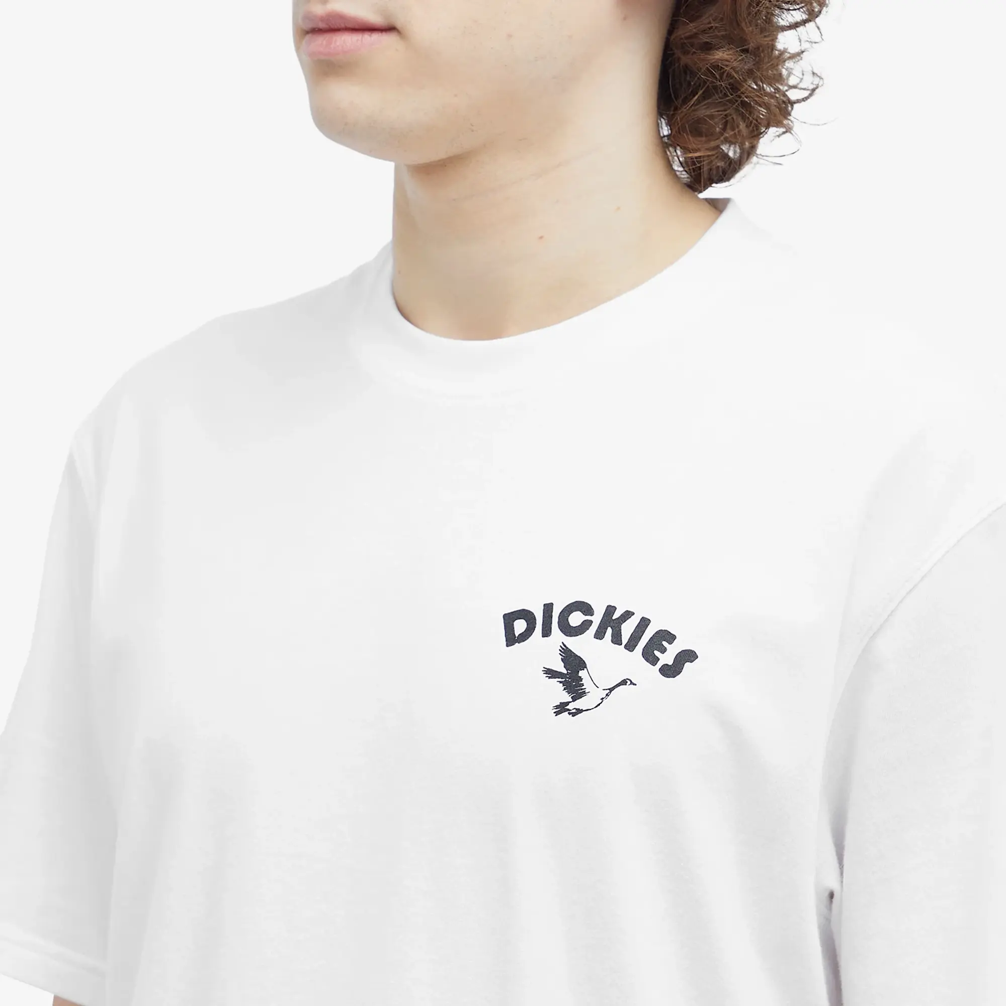 Dickies GOOSE TEE