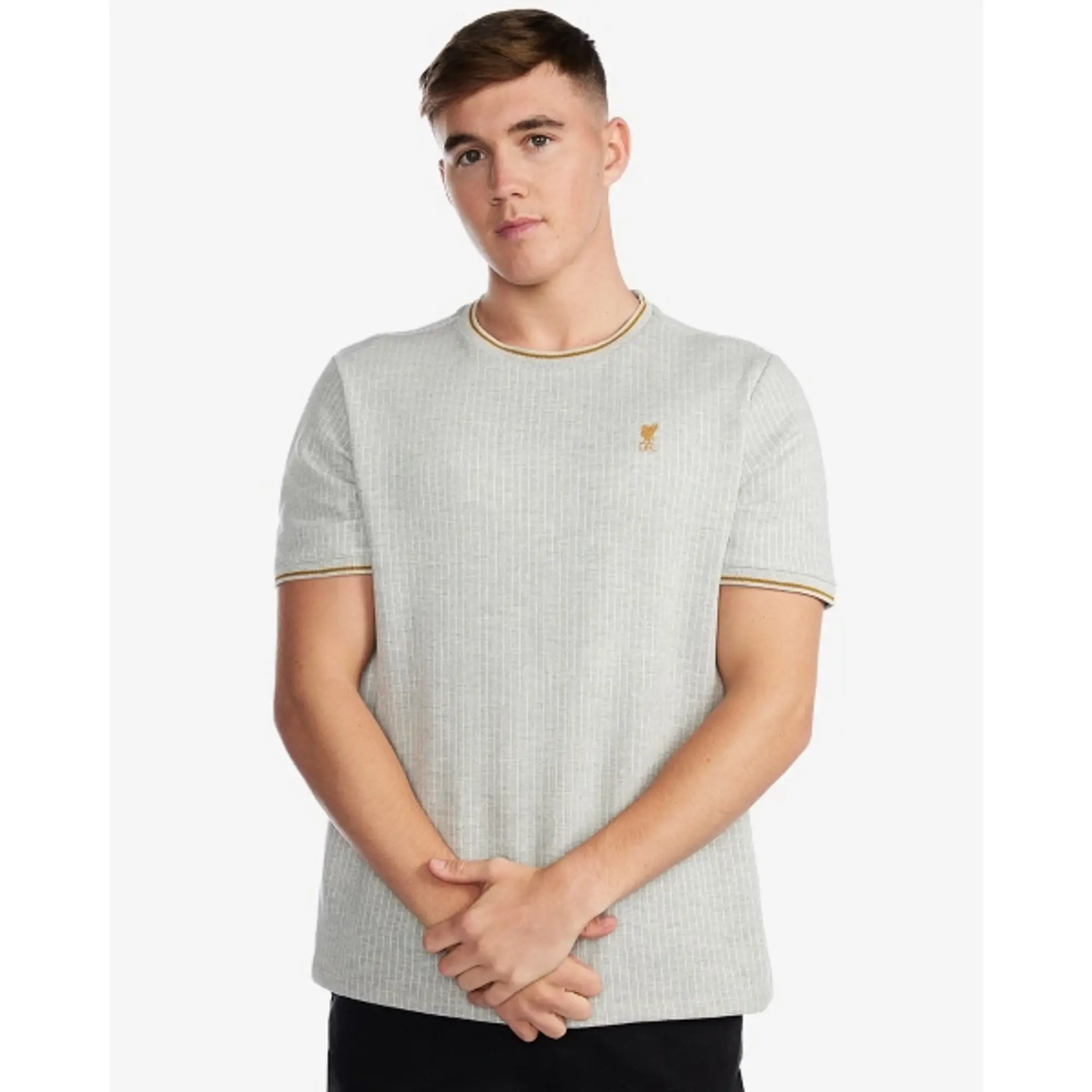 Liverpool FC LFC Mens Stripe Tee Grey Marl
