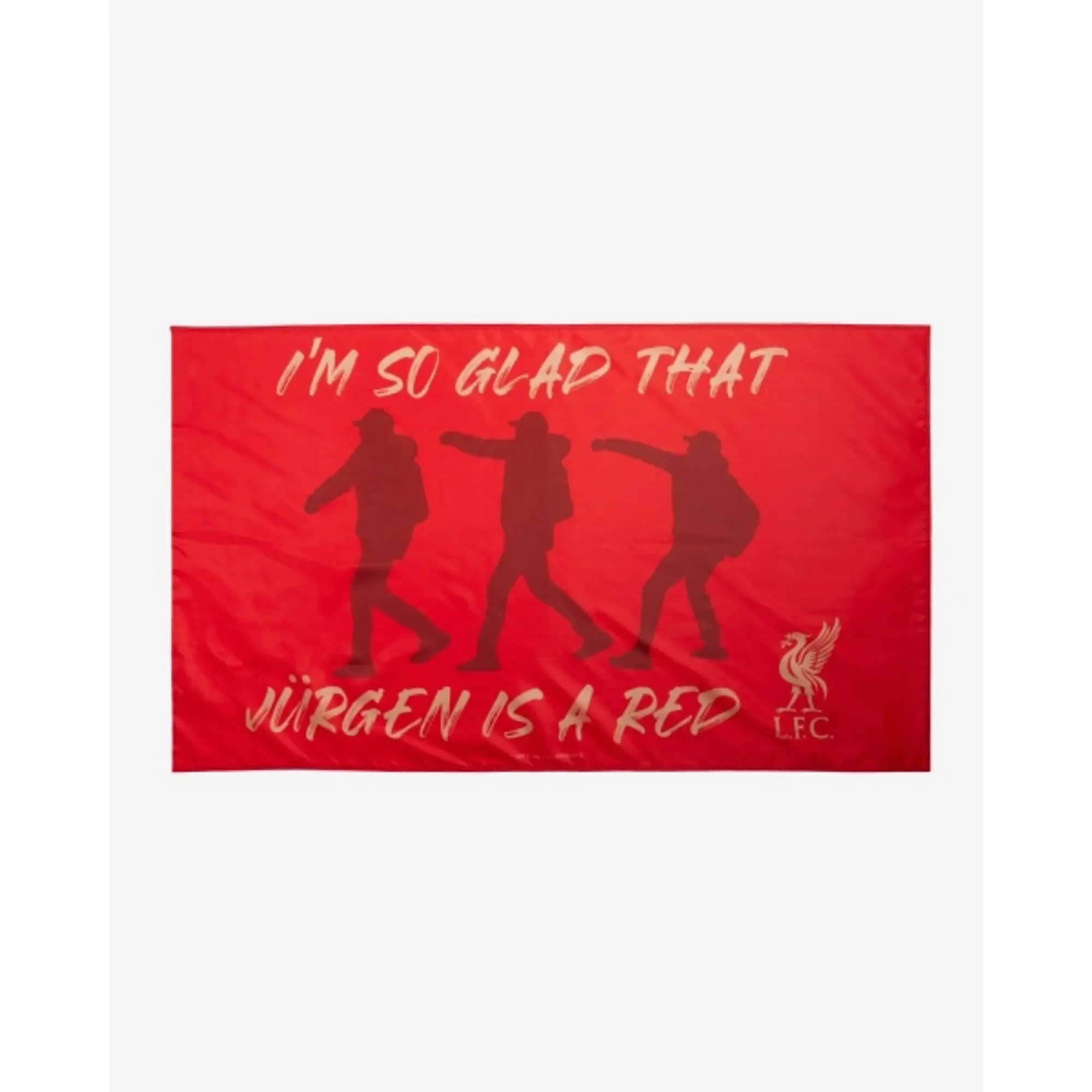 Liverpool FC LFC I'm So Glad Klopp Flag