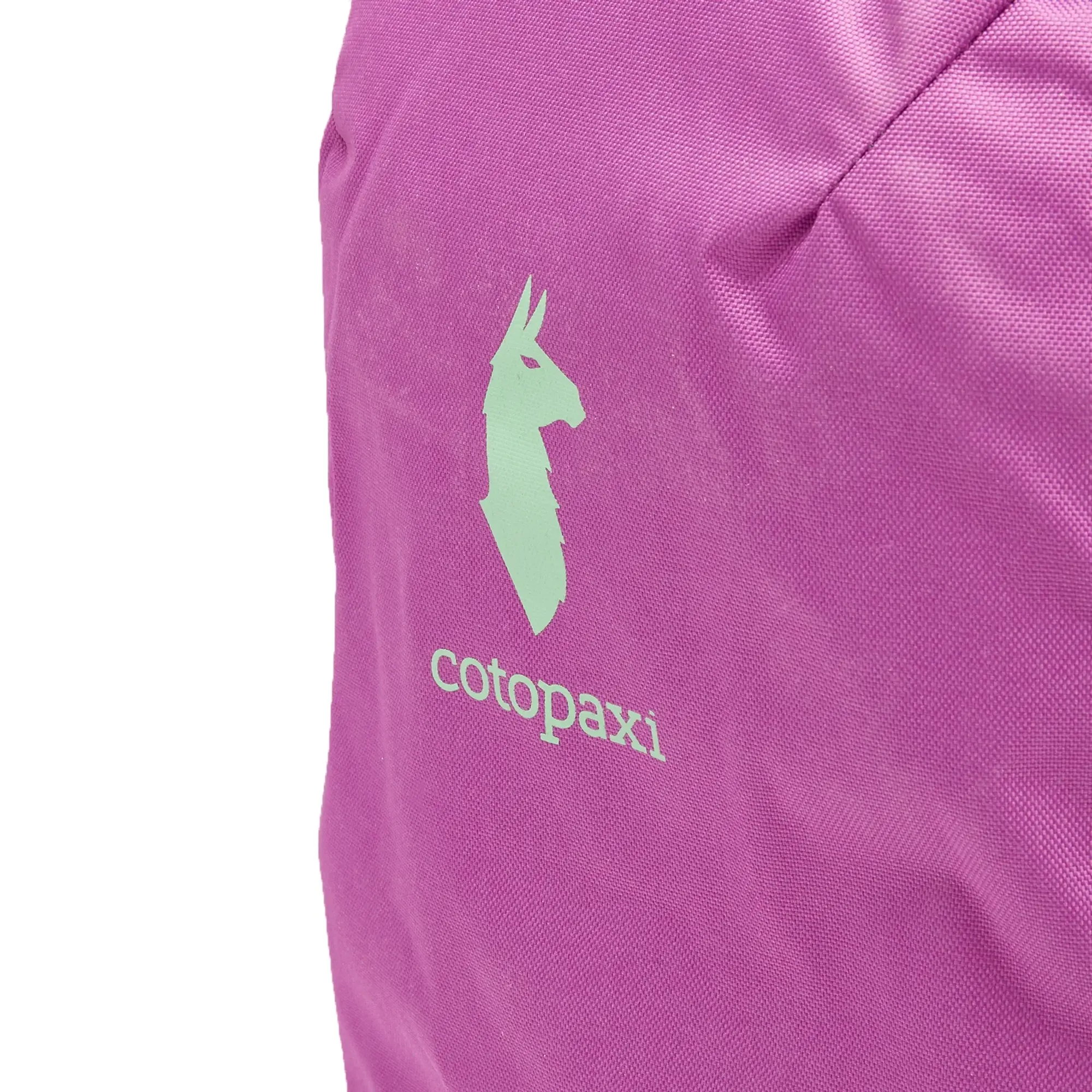 Cotopaxi Men's Allpa 28L Travel Pack Del Dia