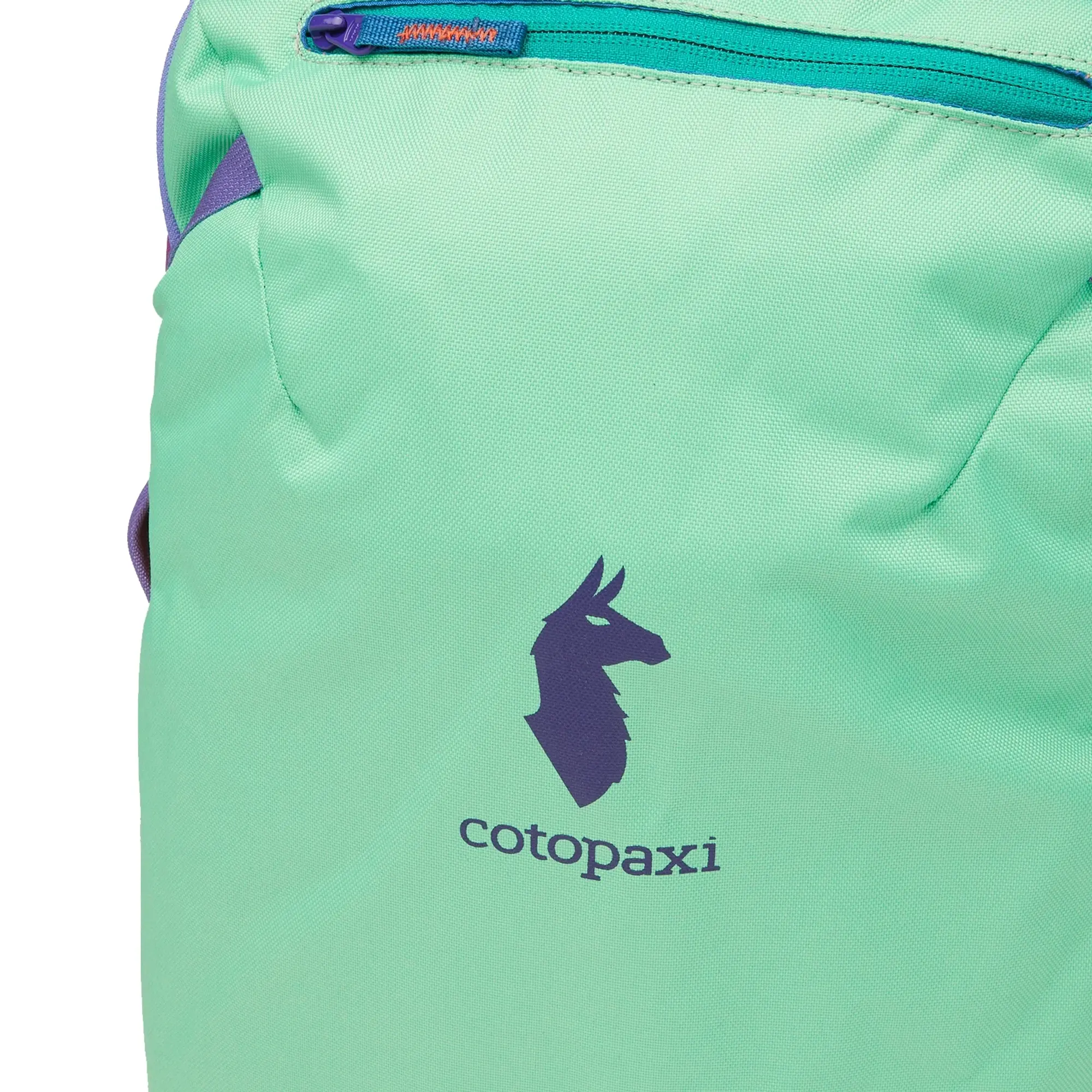Cotopaxi Men's Allpa 28L Travel Pack Del Dia