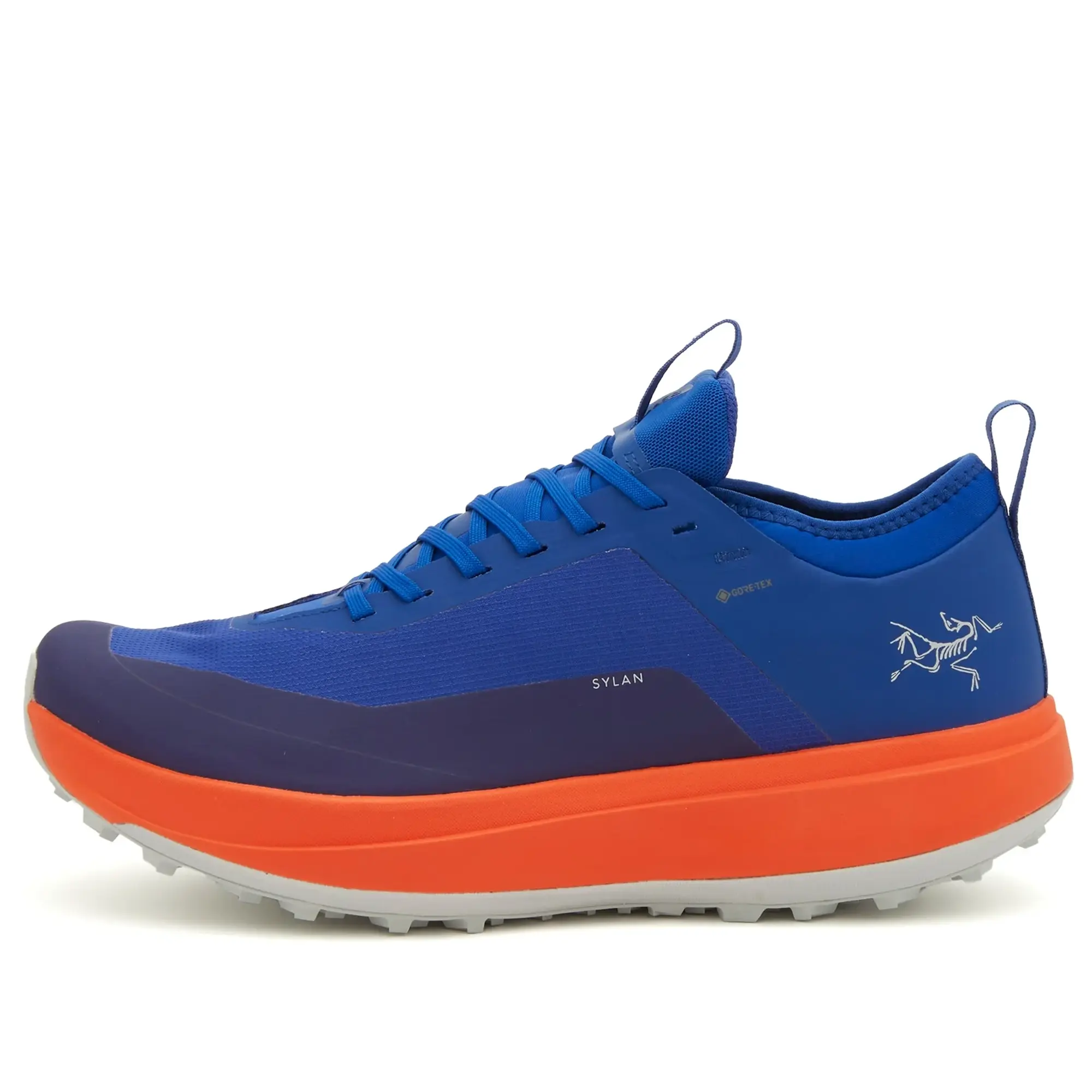 Arc'teryx Men's Sylan Gore-Tex Vitality/Solaris
