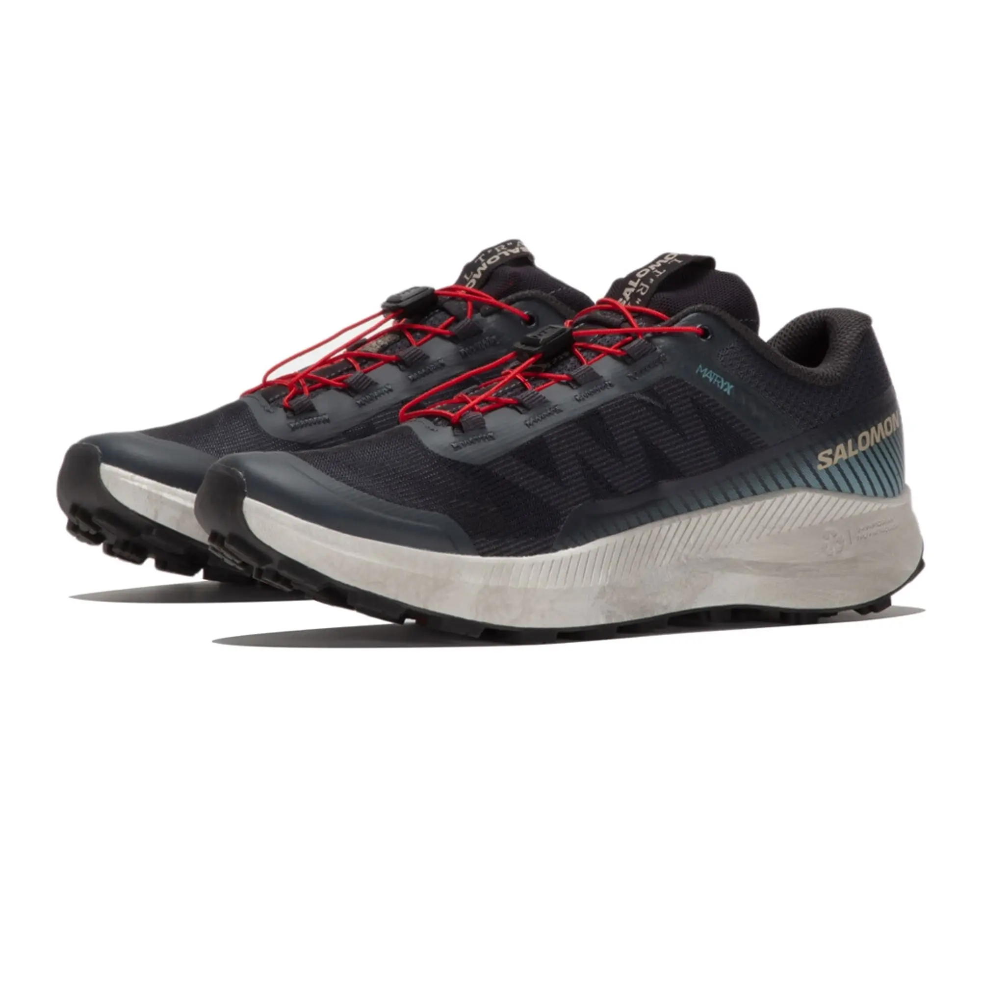 Salomon Vision