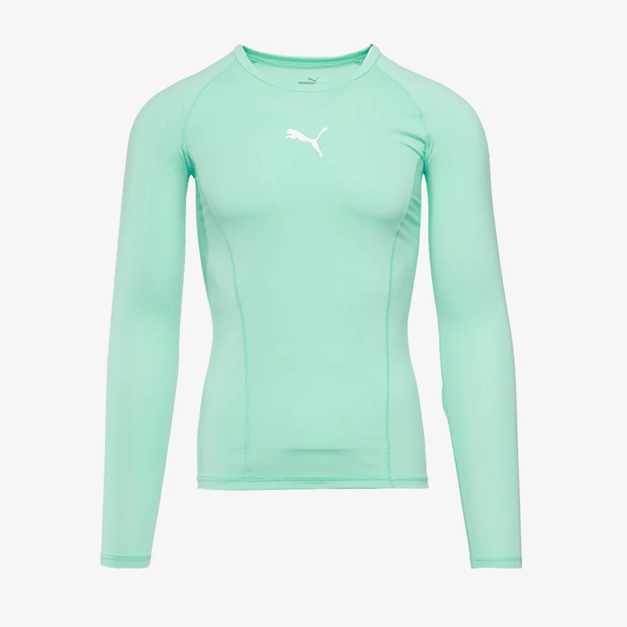 Puma teamLIGA Baselayer Tee