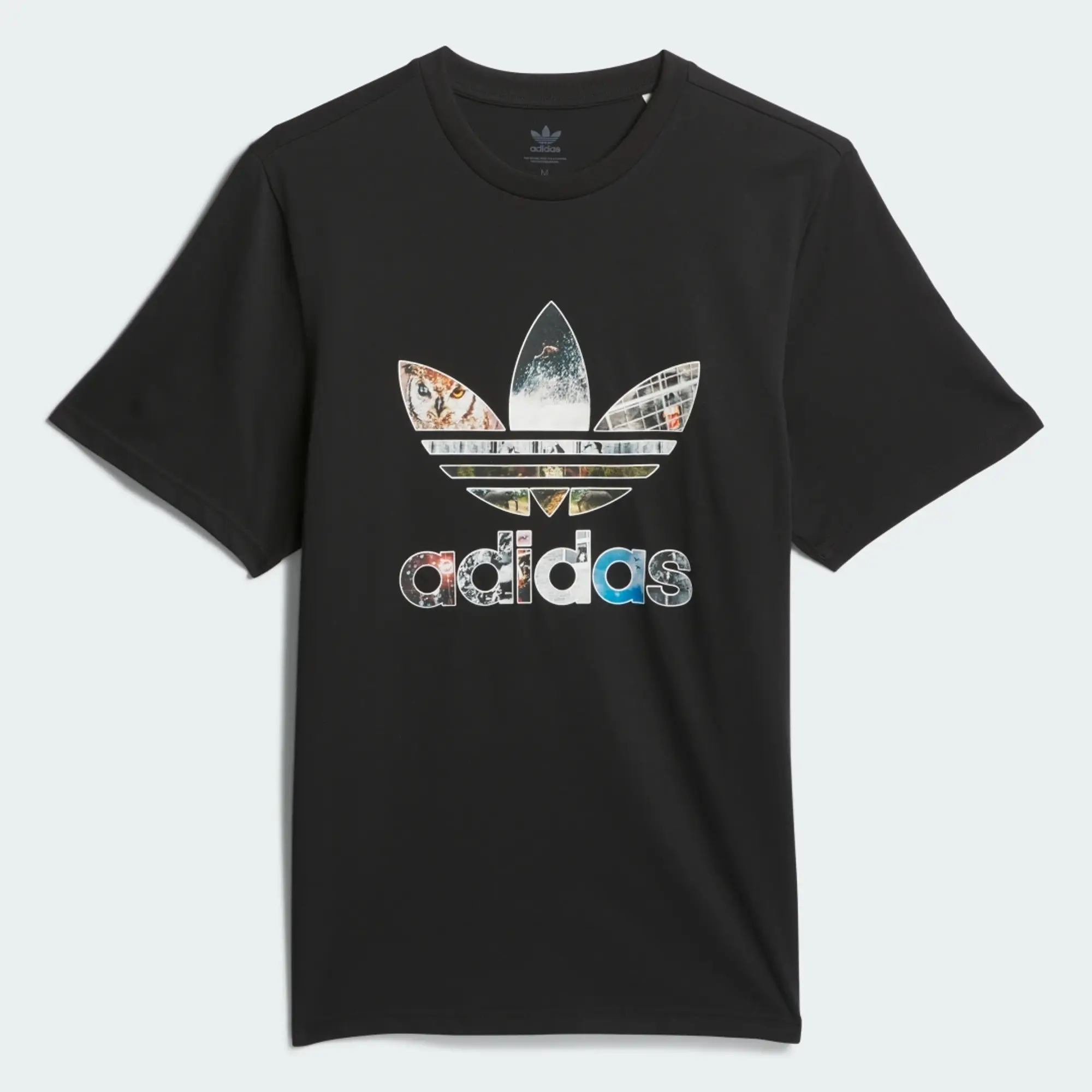 adidas Skateboarding Dill Trefoil Photo T-Shirt, Black