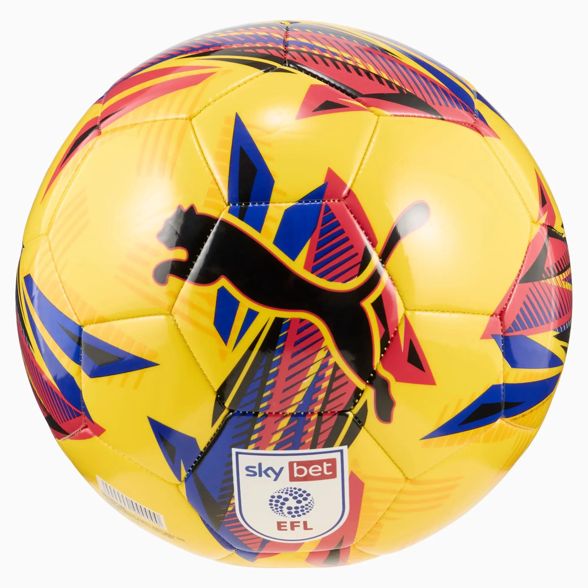 Puma Orbita 6 EFL Sky Bet 24 25 MS Football