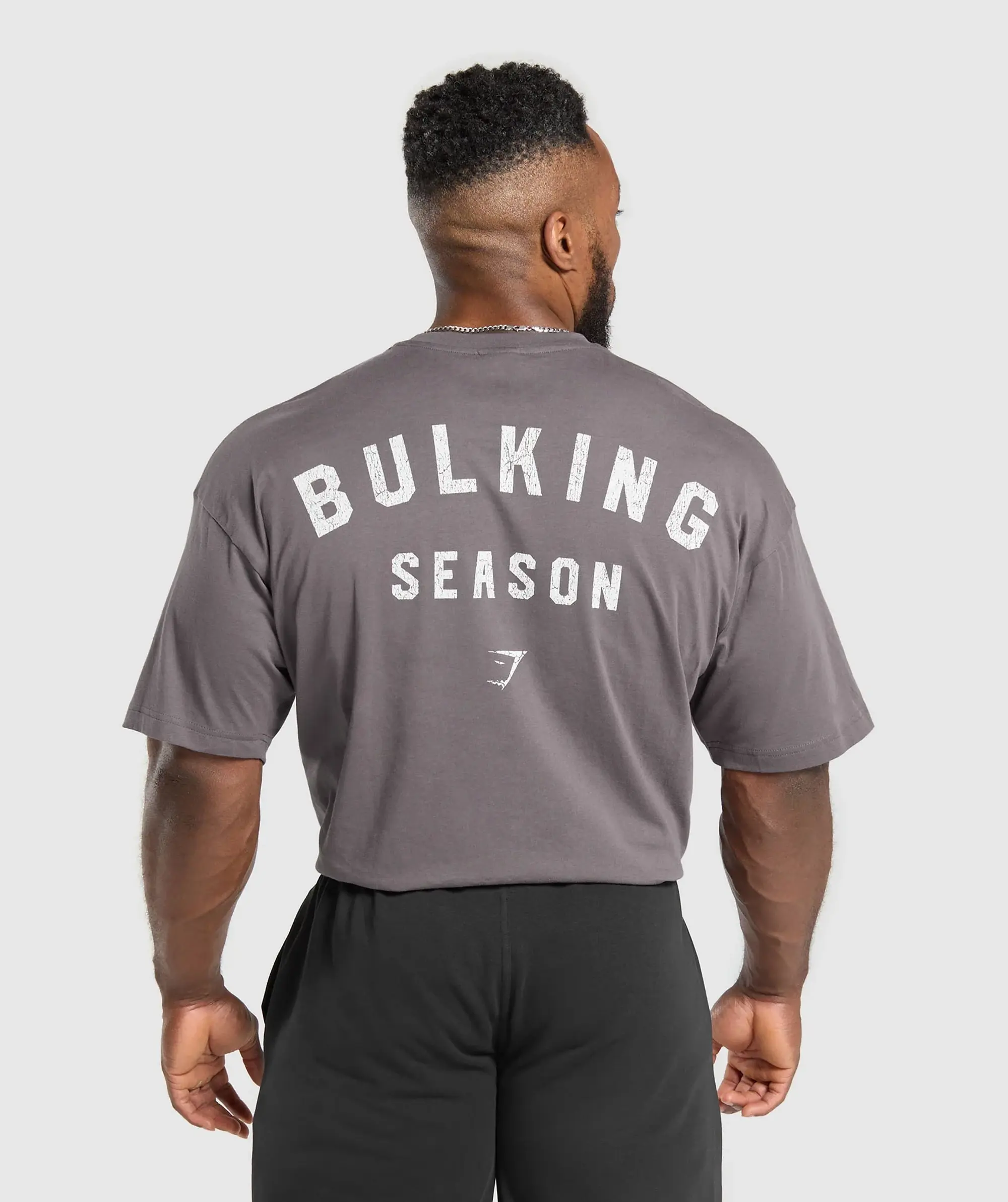 Asics Bulking Season T-Shirt - Brushed Purple