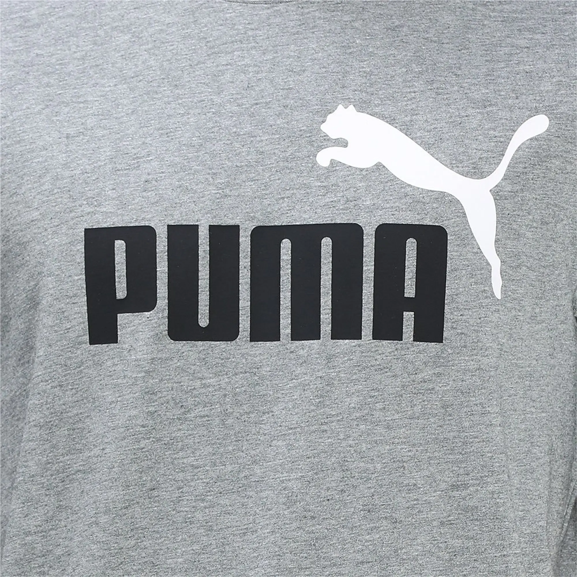 Puma Essential+2 Col Logo Short Sleeve T-shirt