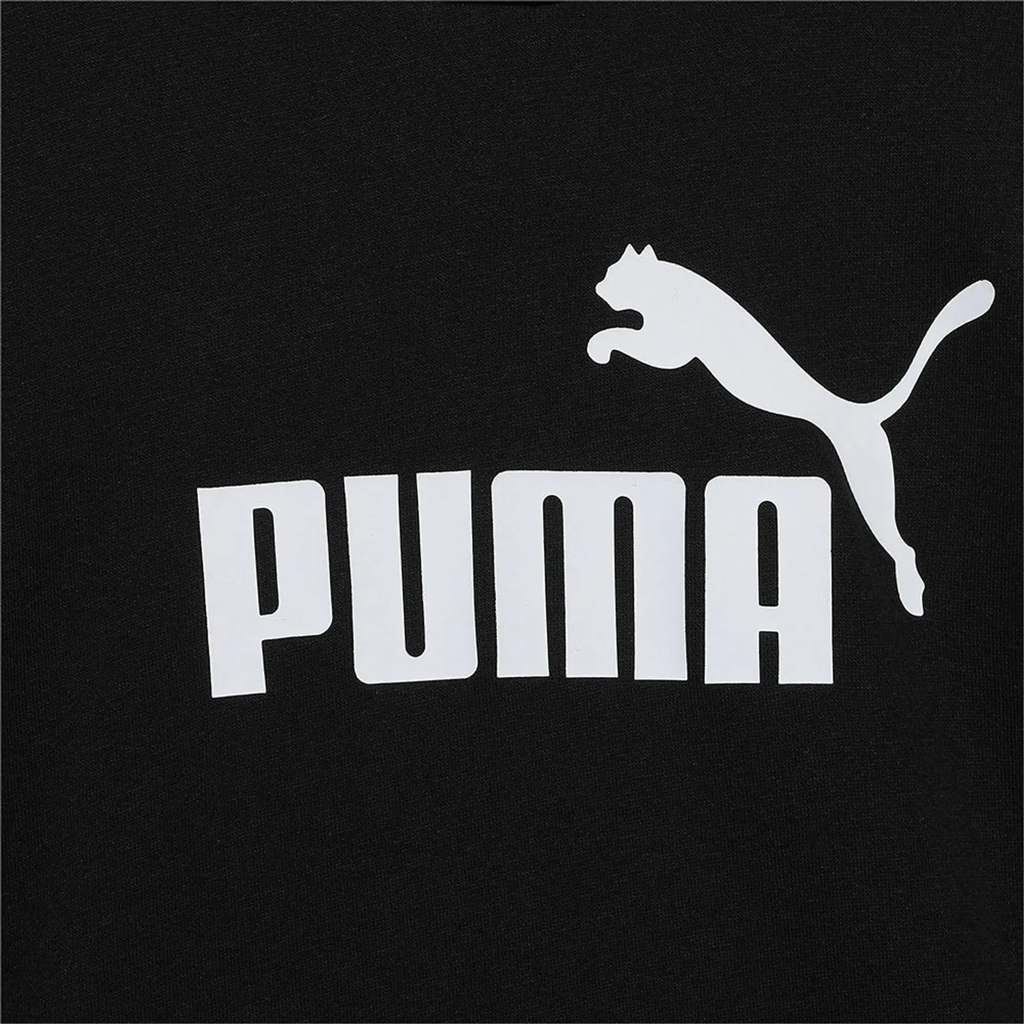 Puma Ess Logo Tr Hoodie