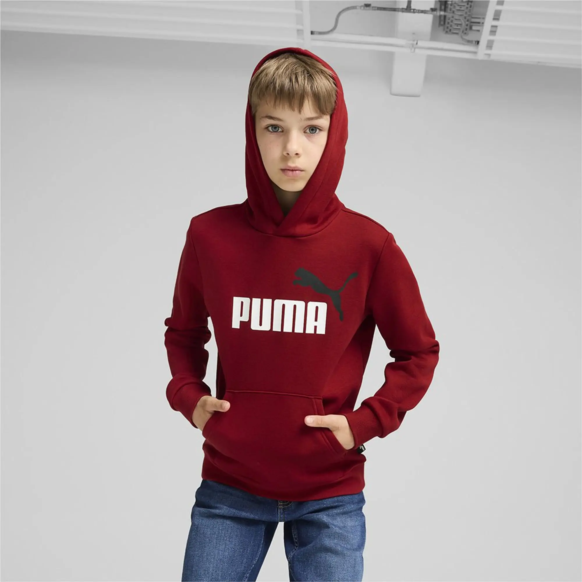 Puma Ess+ 2 Col Big Logo Hoodie
