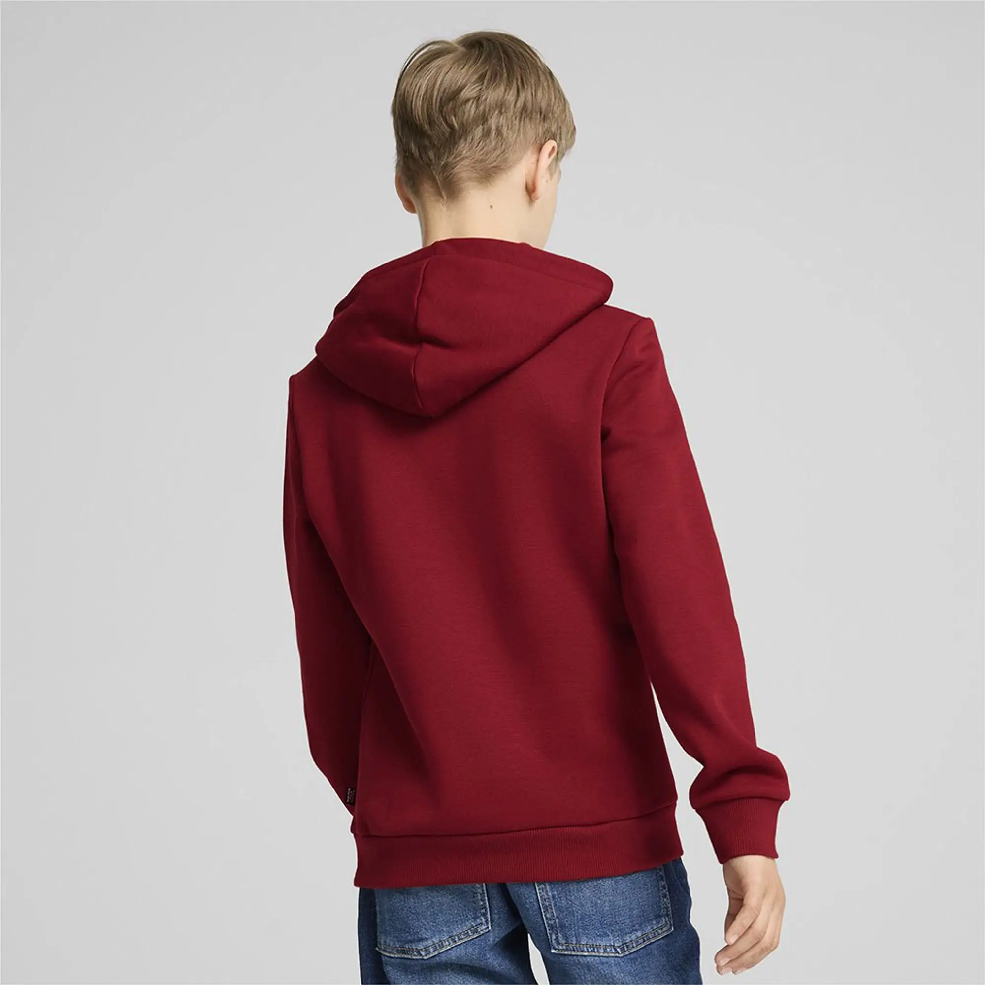 Puma Ess+ 2 Col Big Logo Hoodie