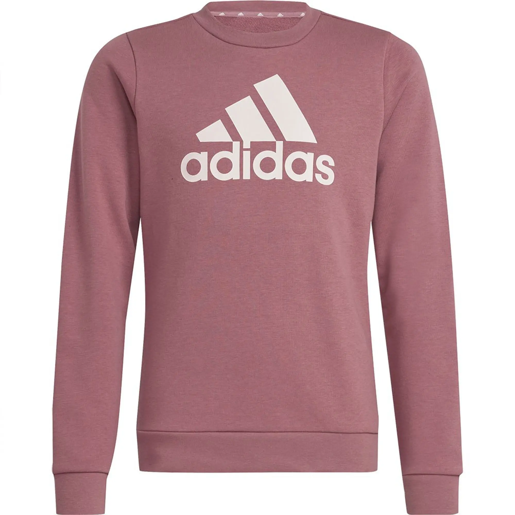 Adidas Essentials Big Logo Cotton Sweatshirt