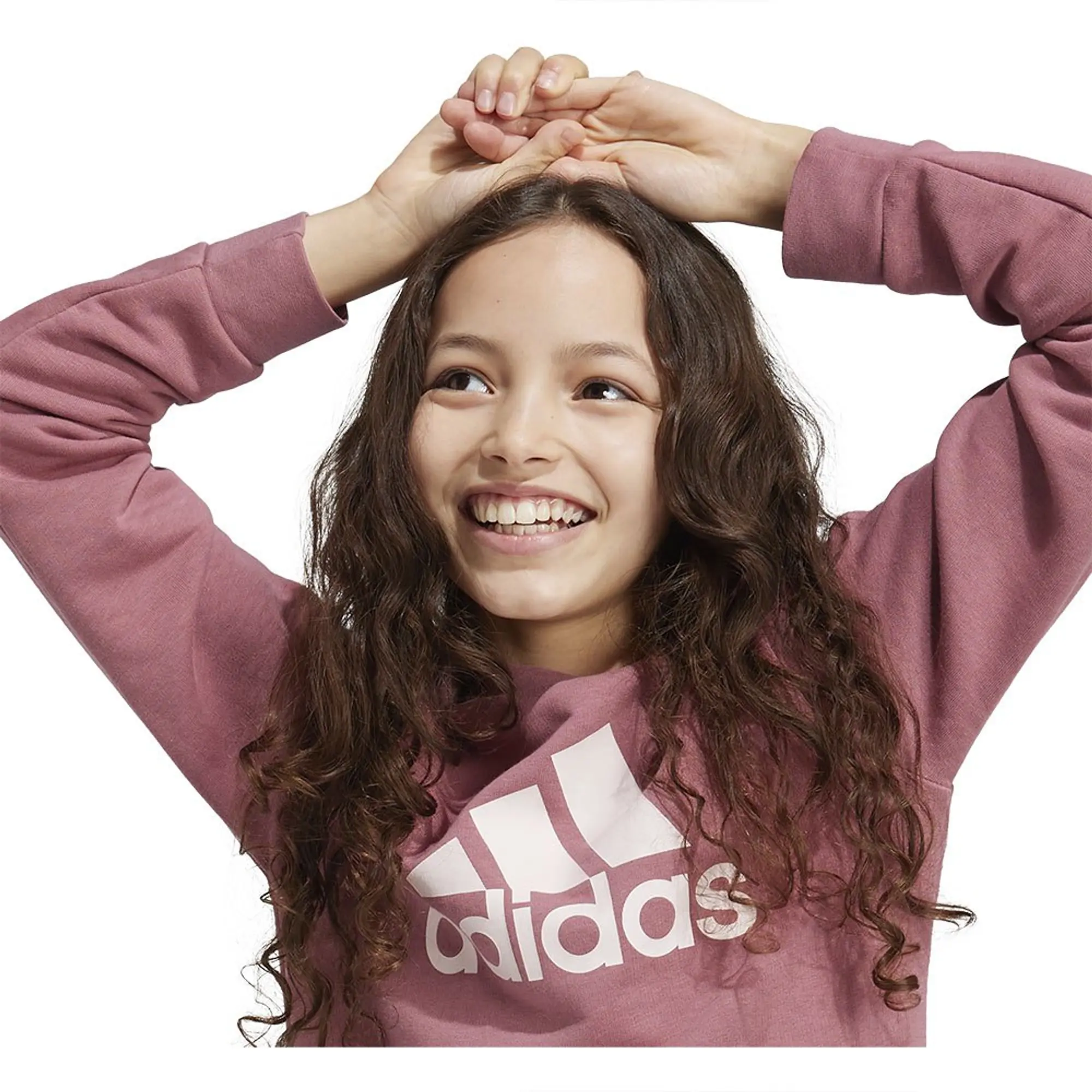 Adidas Essentials Big Logo Cotton Sweatshirt