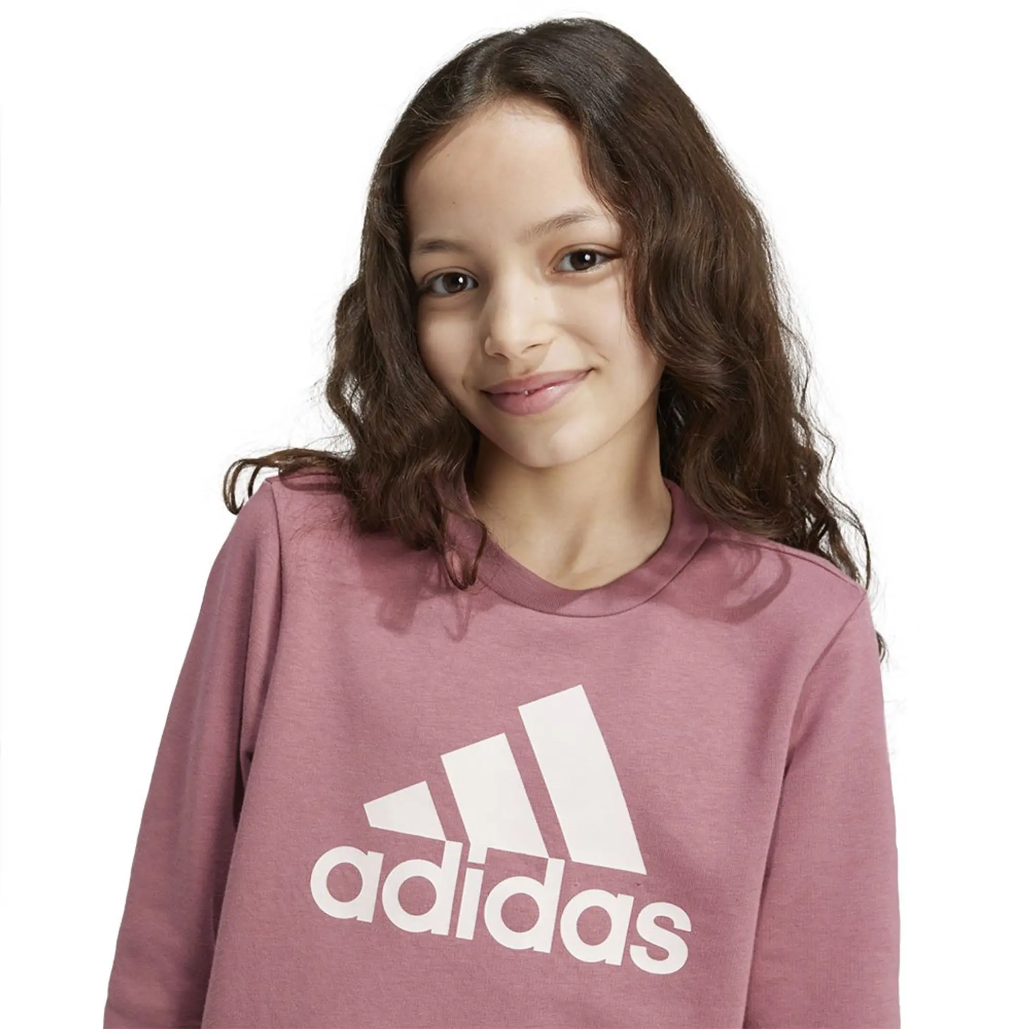 Adidas Essentials Big Logo Cotton Sweatshirt