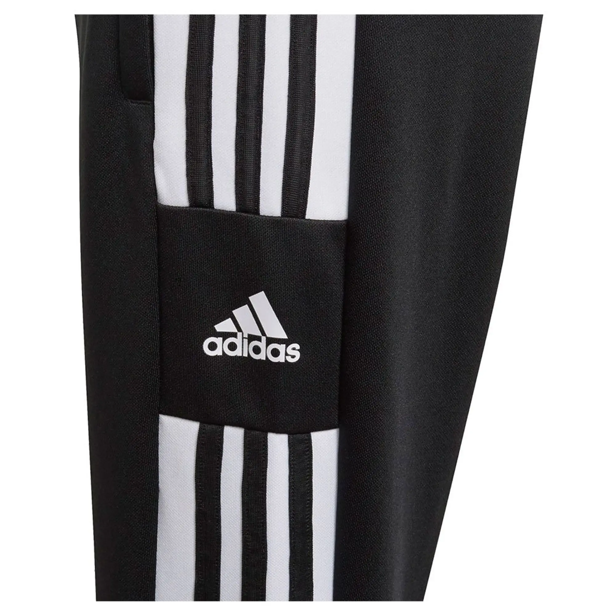 adidas  SQ21 TR PNT Y  girls's Children's Sportswear in Black