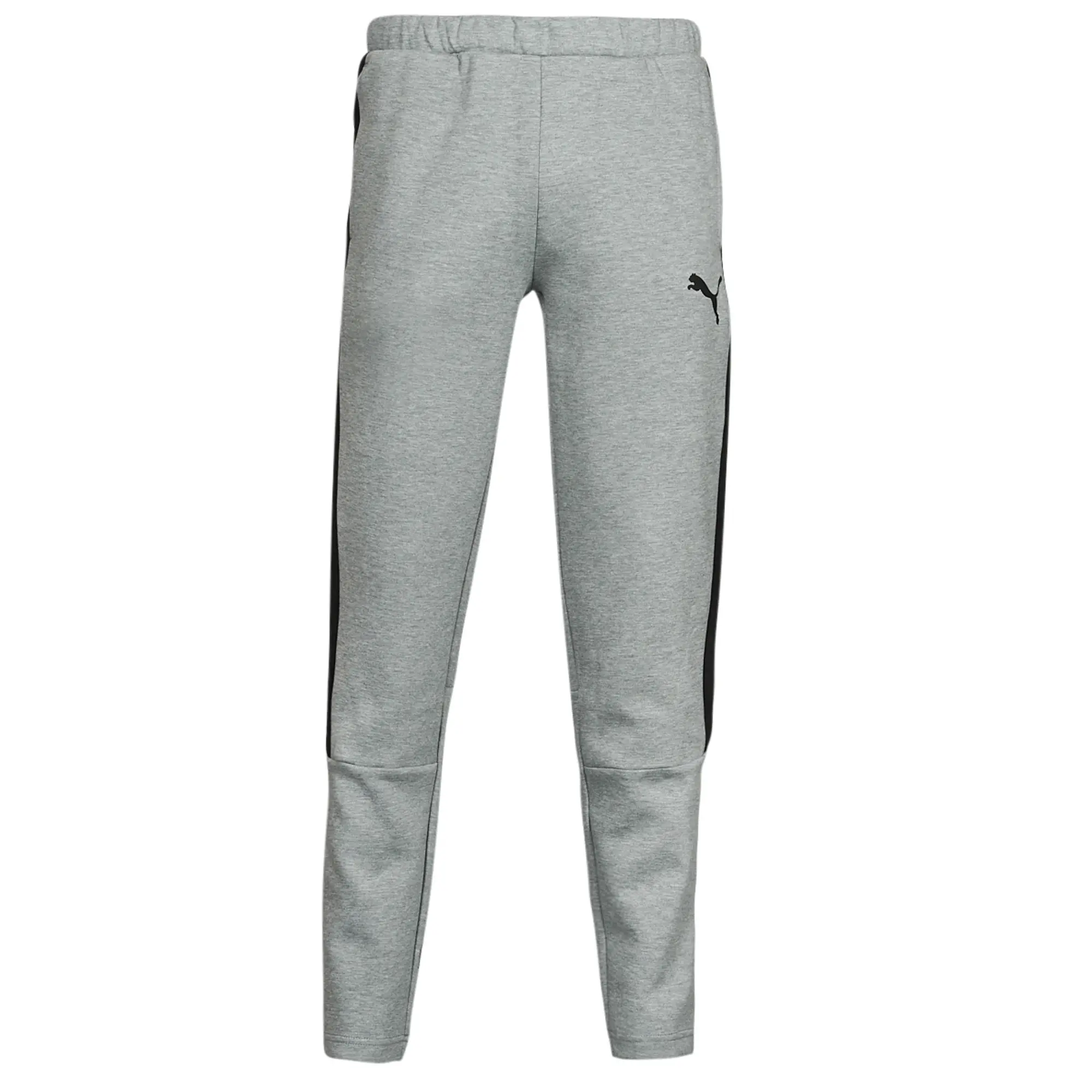 Puma  EVOSTRIPE CORE FZ PANT  men's Sportswear in Grey