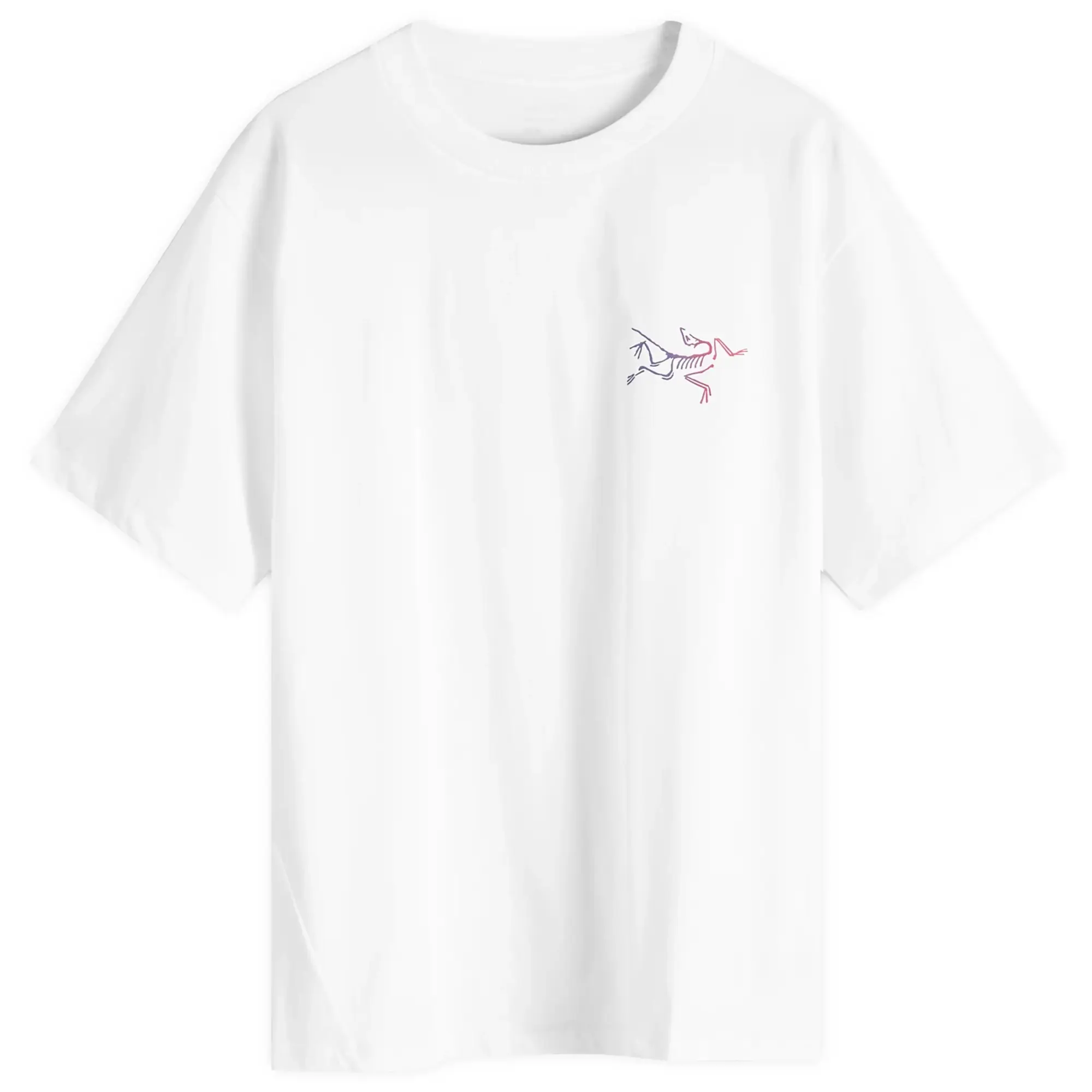 Arcteryx Kragg Logo T-Shirt - White Light / Multi