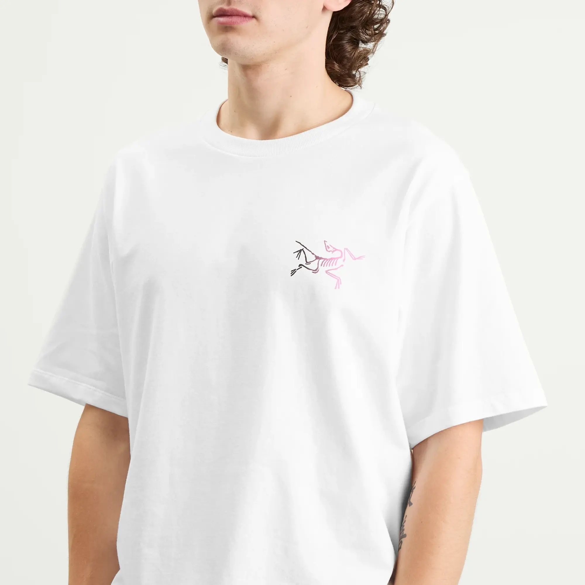 Arcteryx Kragg Logo T-Shirt - White Light / Multi