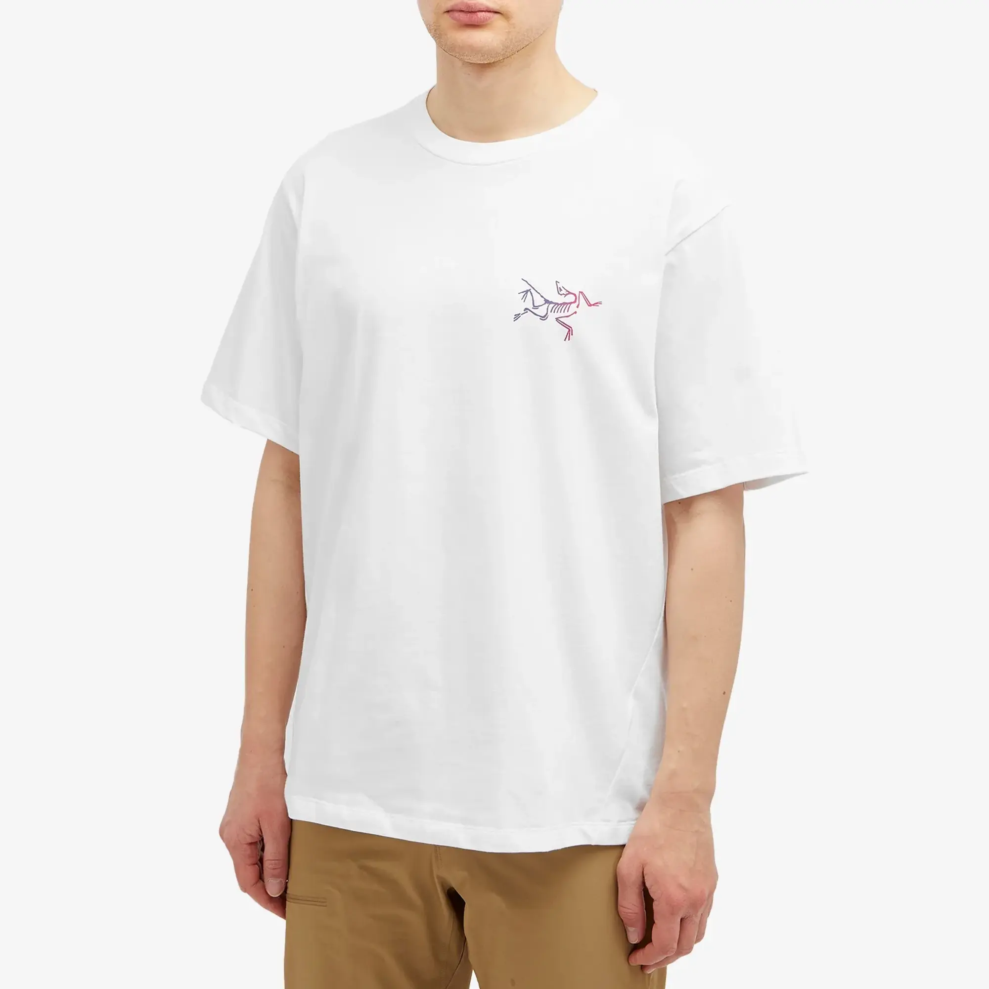 Arcteryx Kragg Logo T-Shirt - White Light / Multi