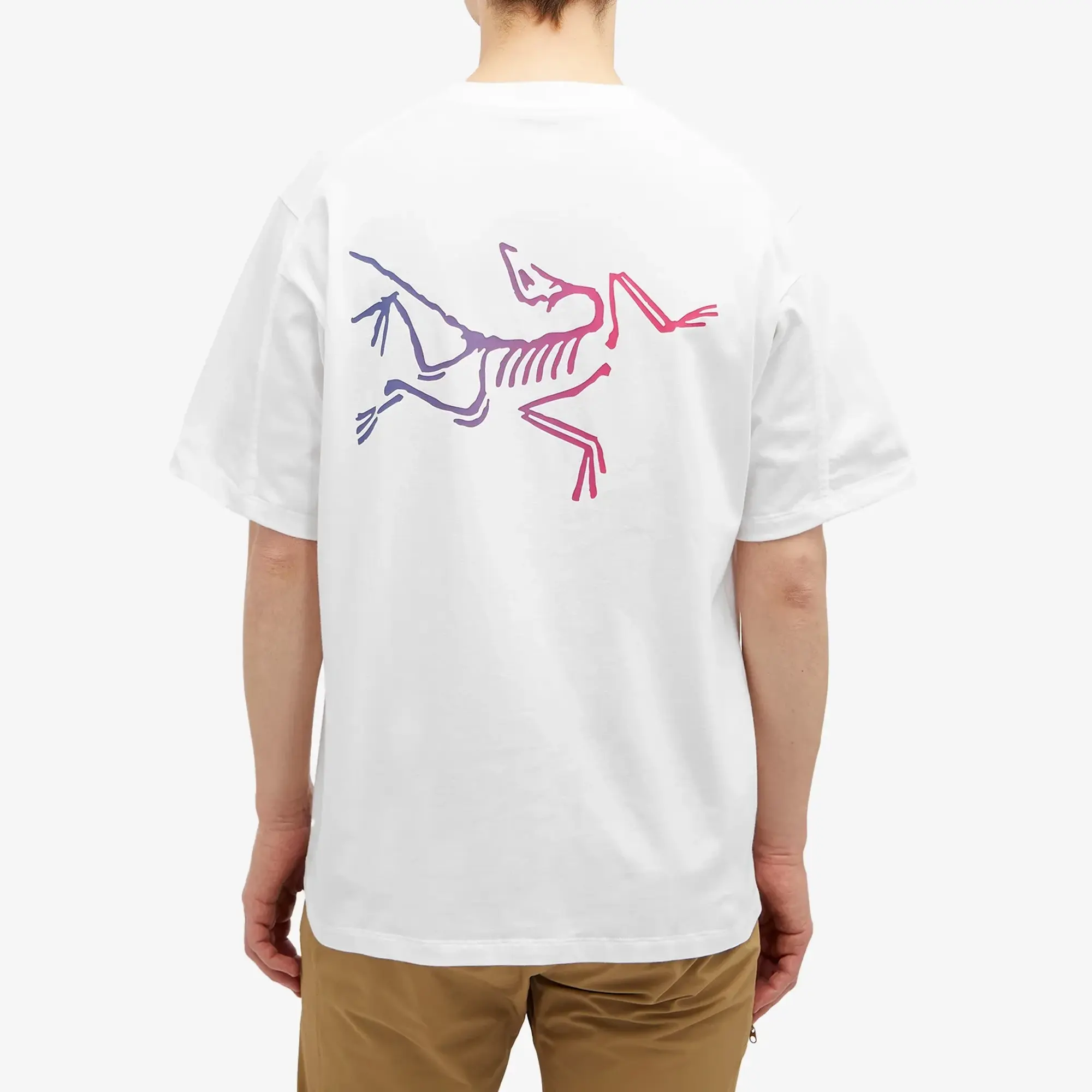 Arcteryx Kragg Logo T-Shirt - White Light / Multi