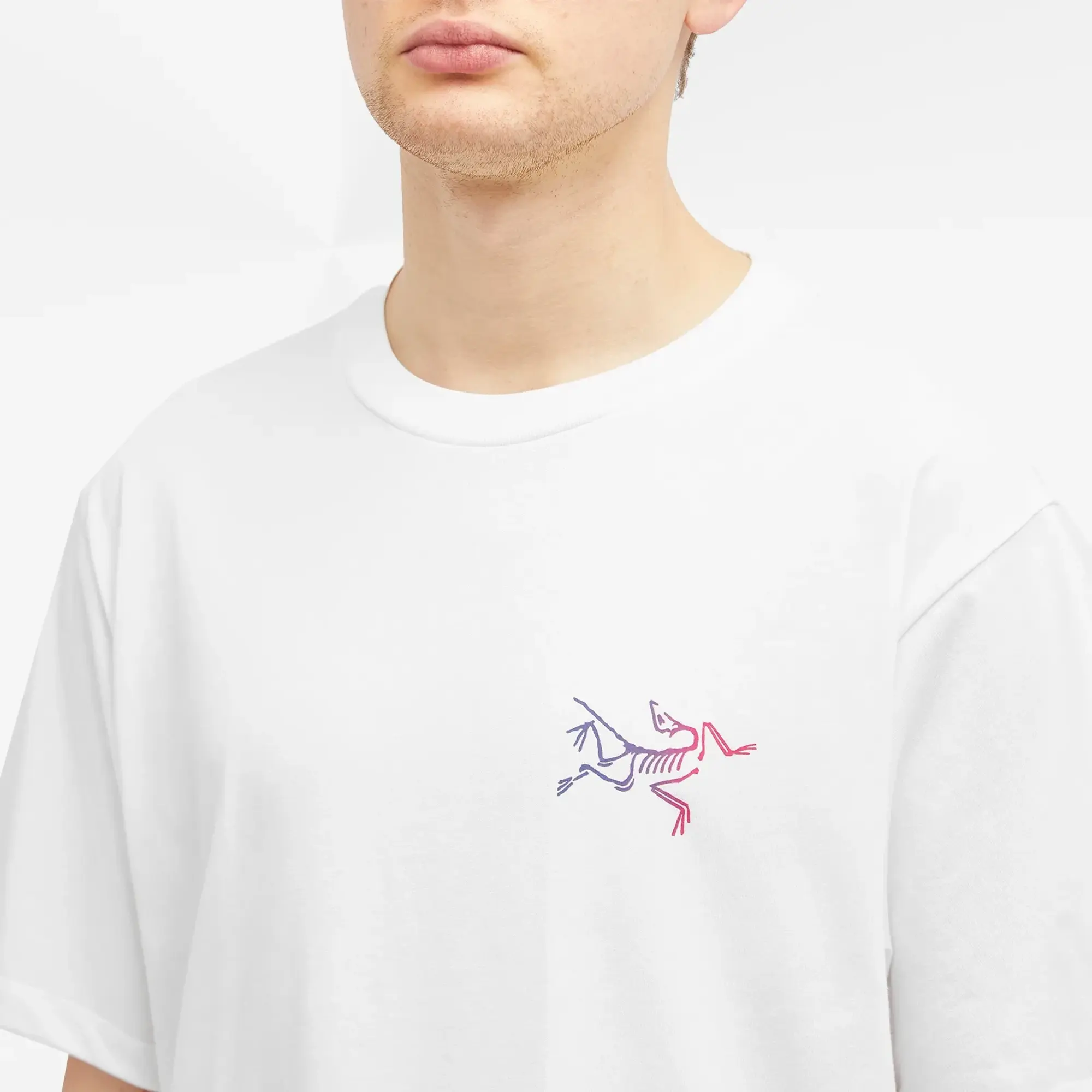 Arcteryx Kragg Logo T-Shirt - White Light / Multi