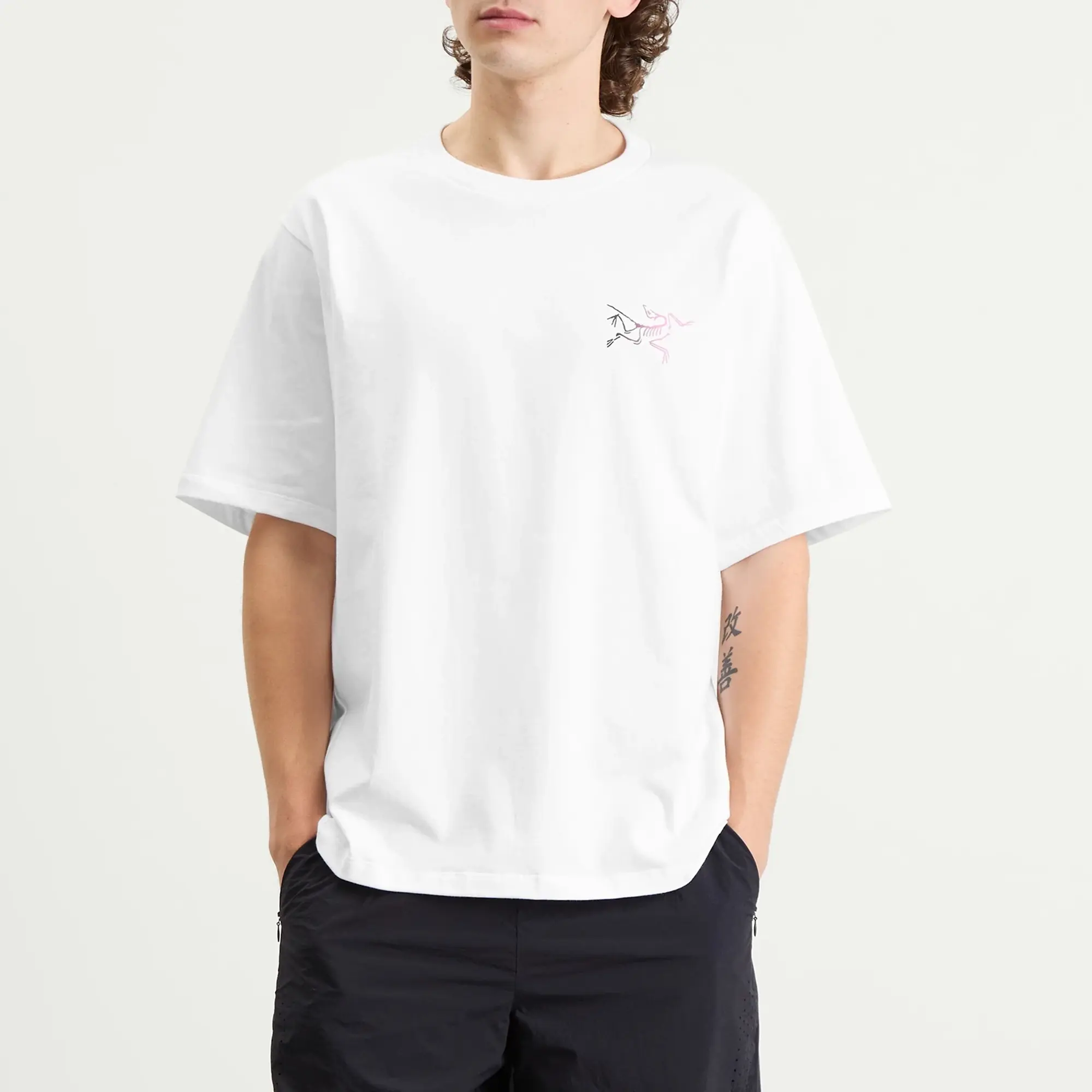 Arcteryx Kragg Logo T-Shirt - White Light / Multi